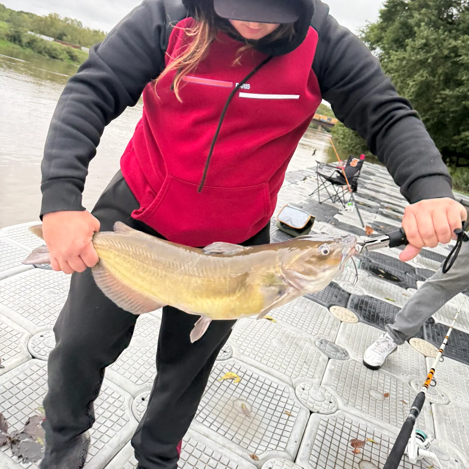 Channel catfish caught on Fishbrain