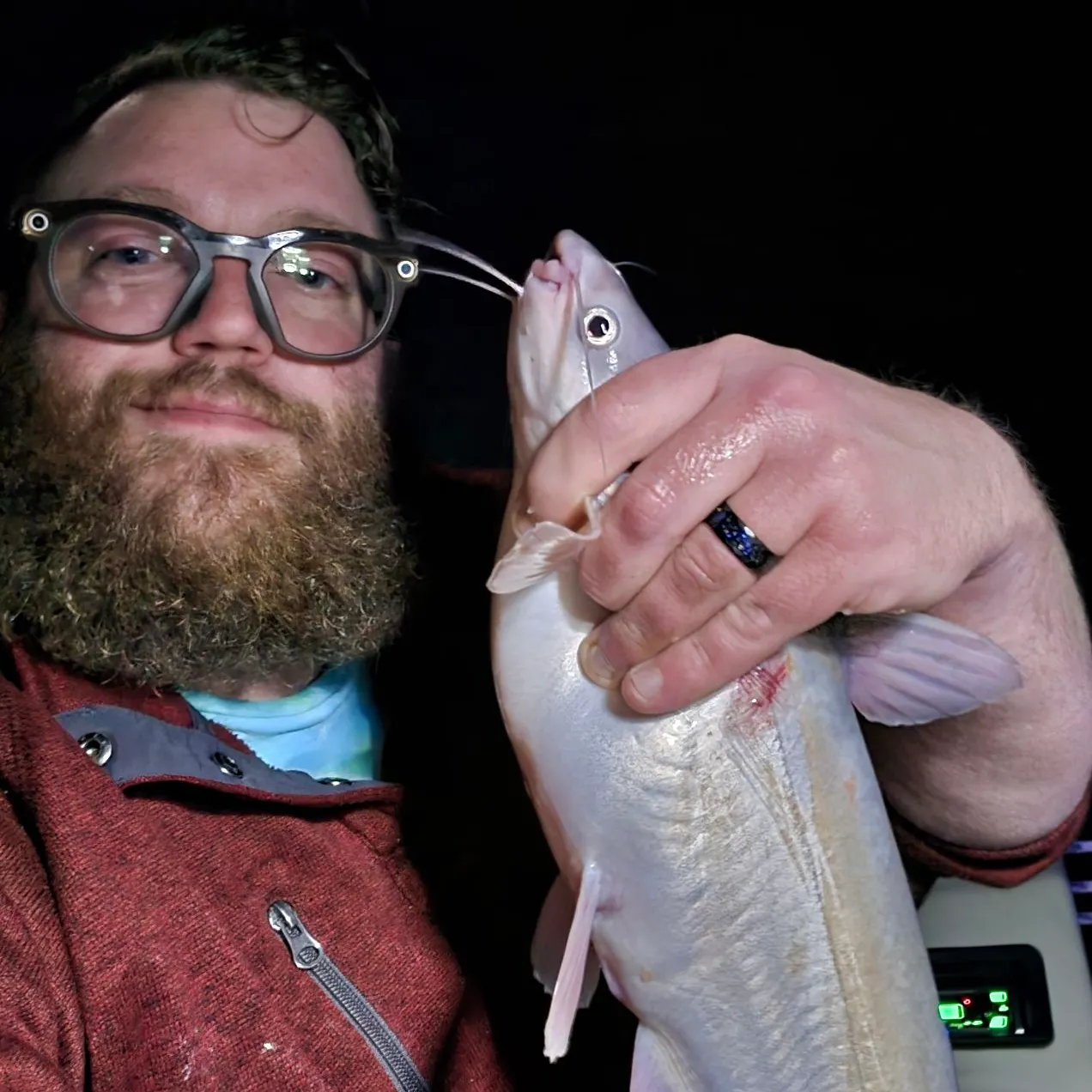 Blue catfish caught on Fishbrain