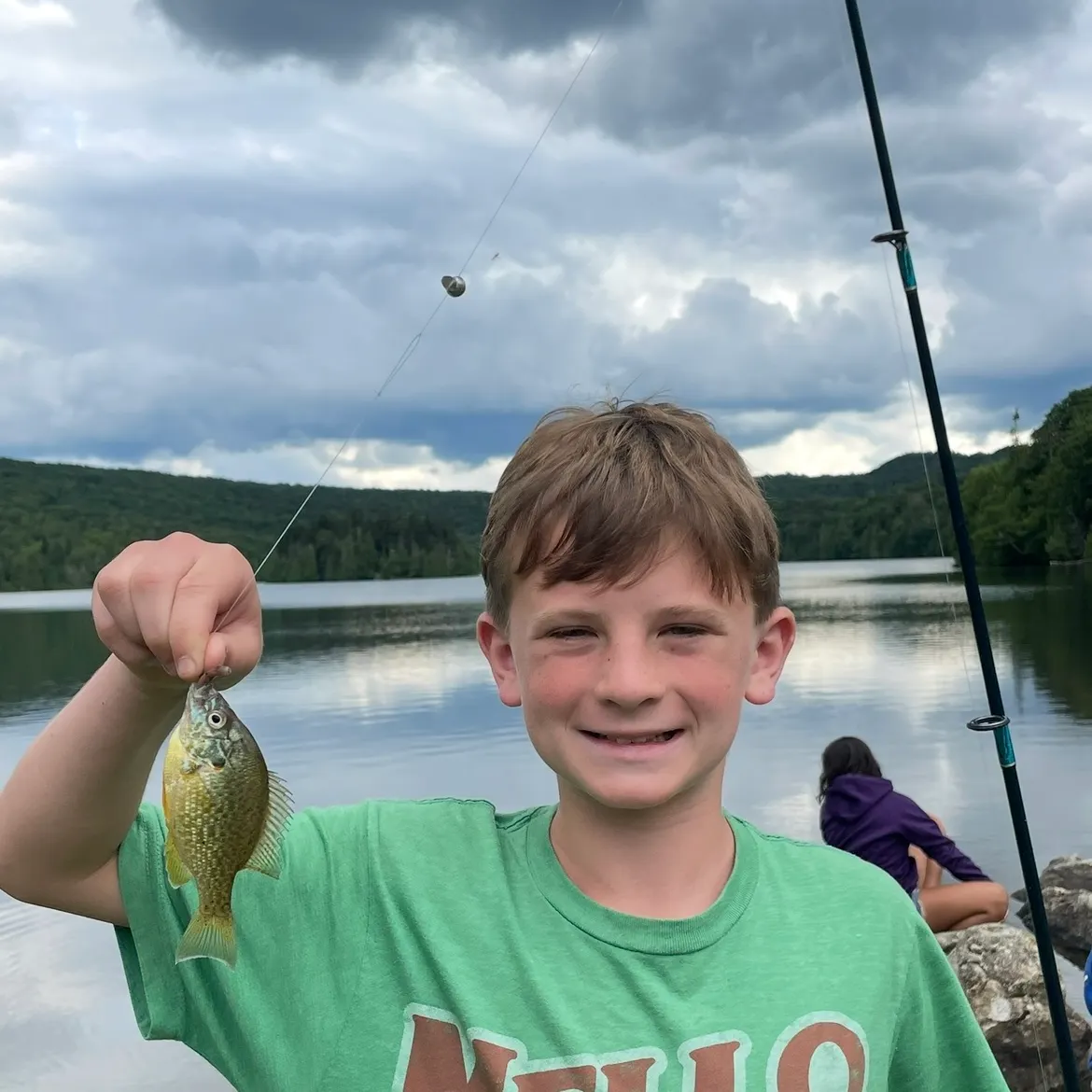 Pumpkinseed caught on Fishbrain