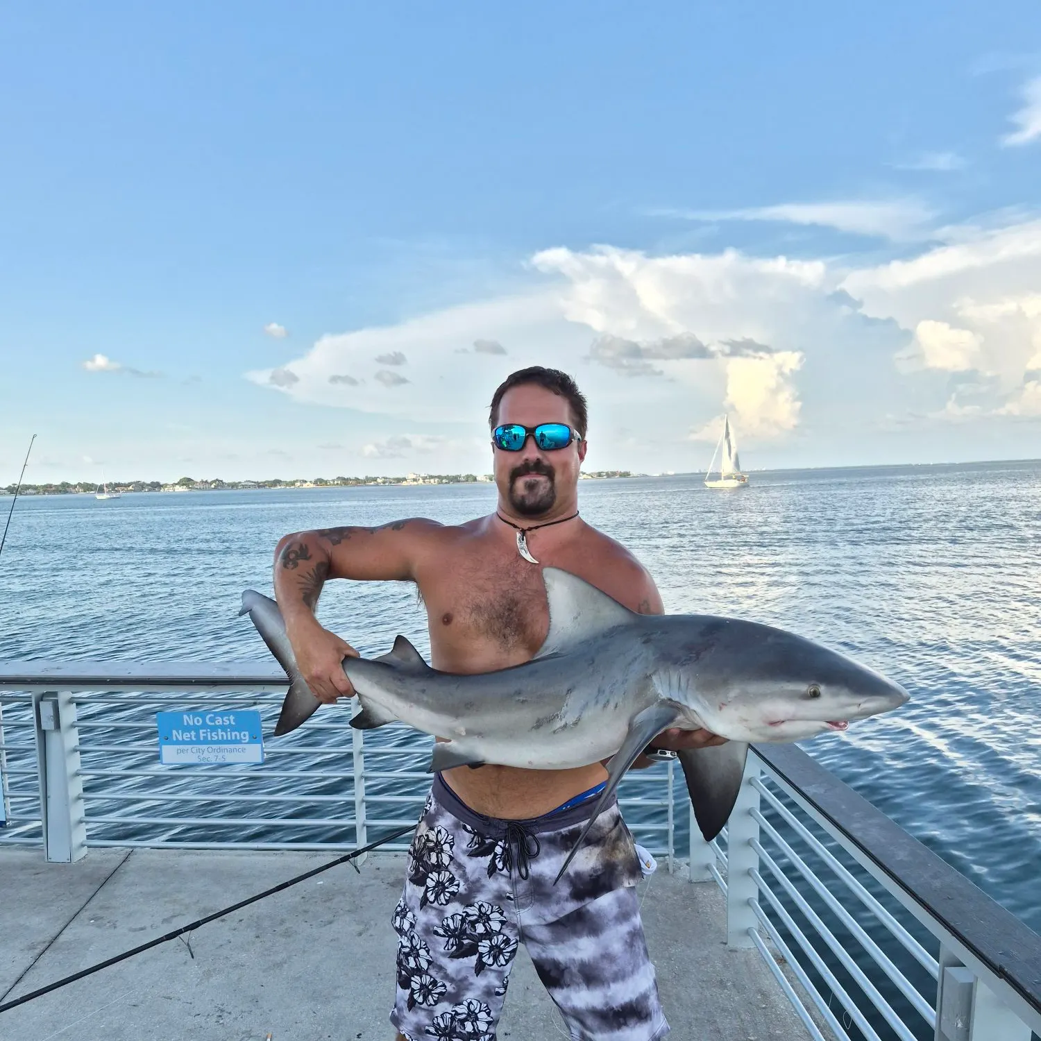The most recent Bull shark catches on Fishbrain