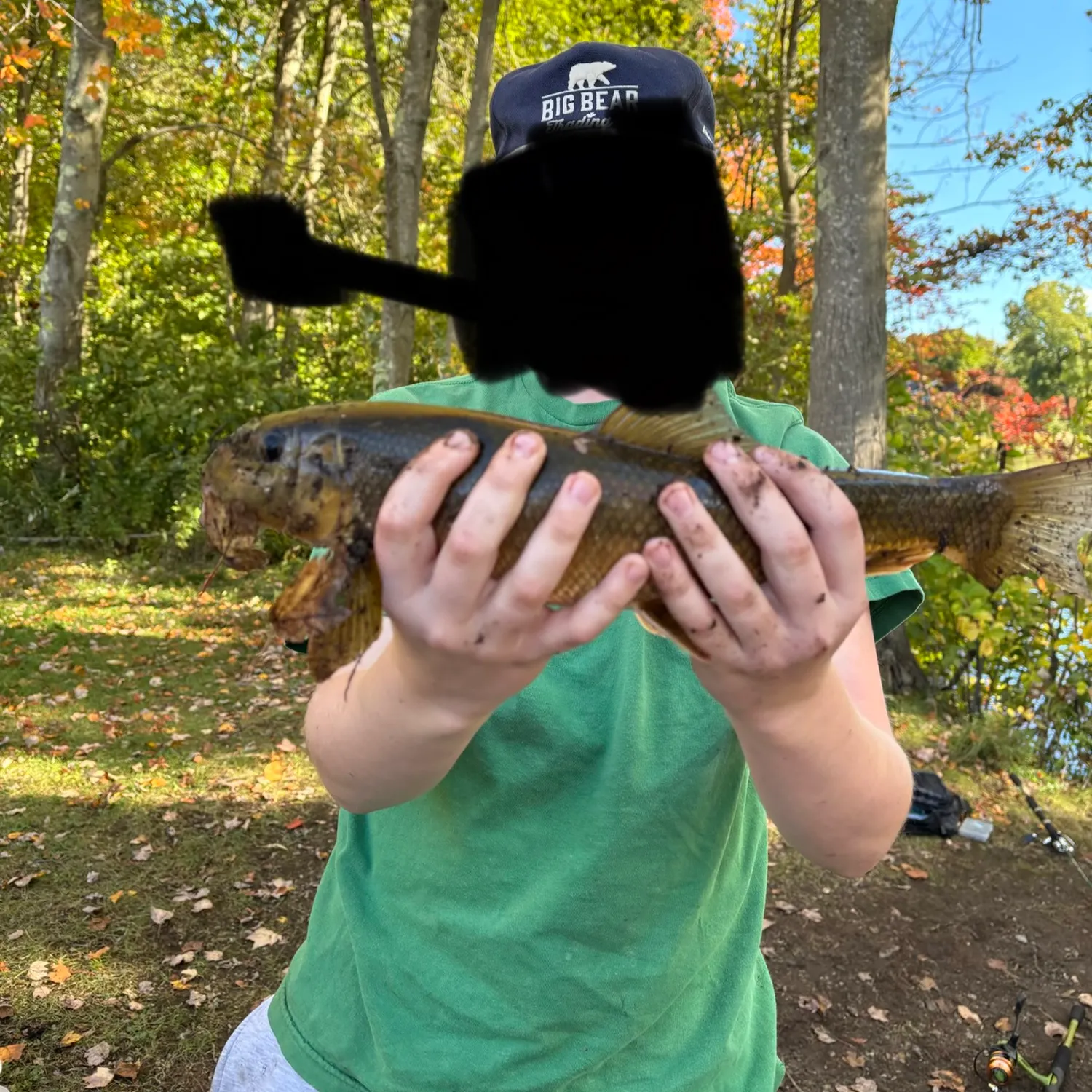 White sucker caught on Fishbrain