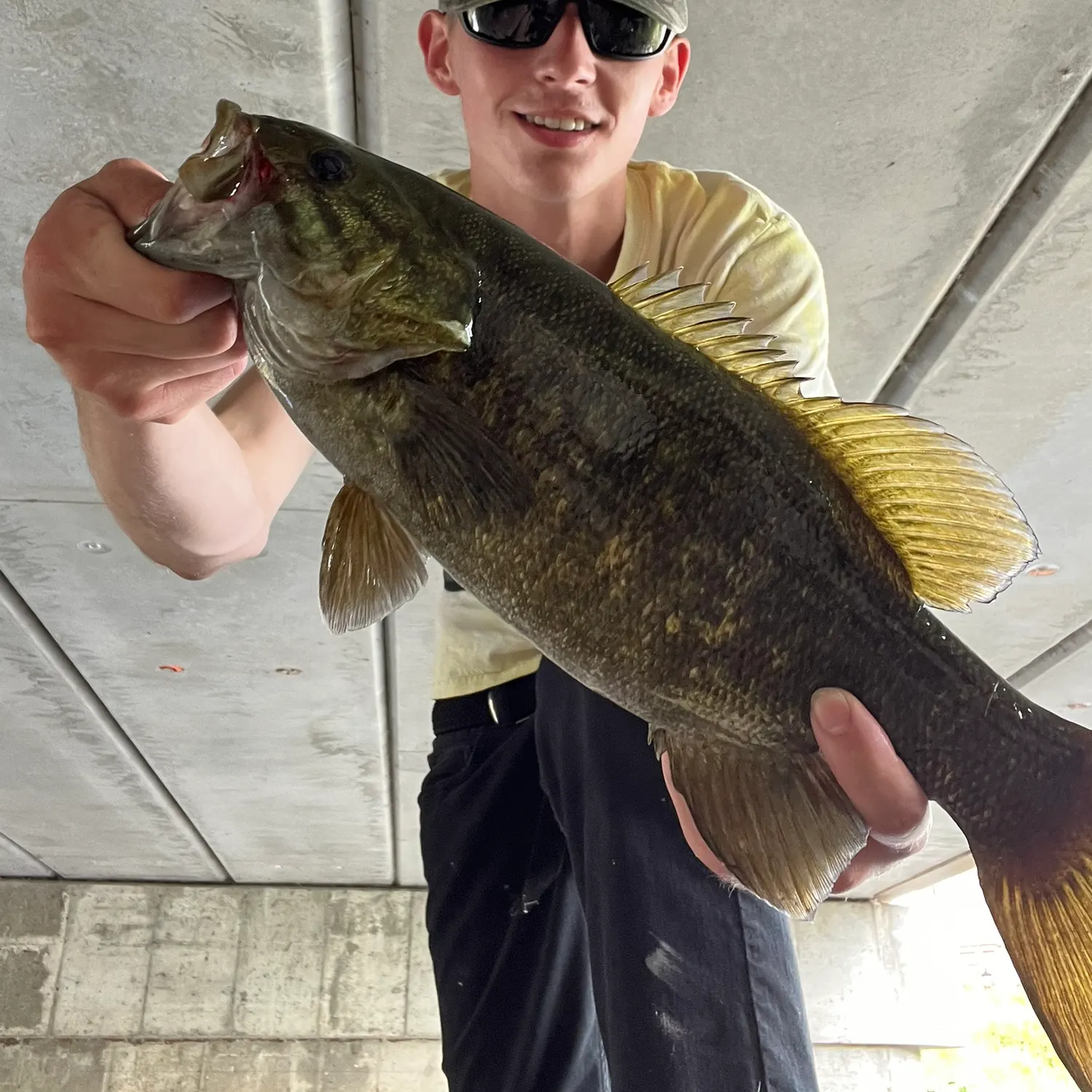 Smallmouth bass caught on Fishbrain