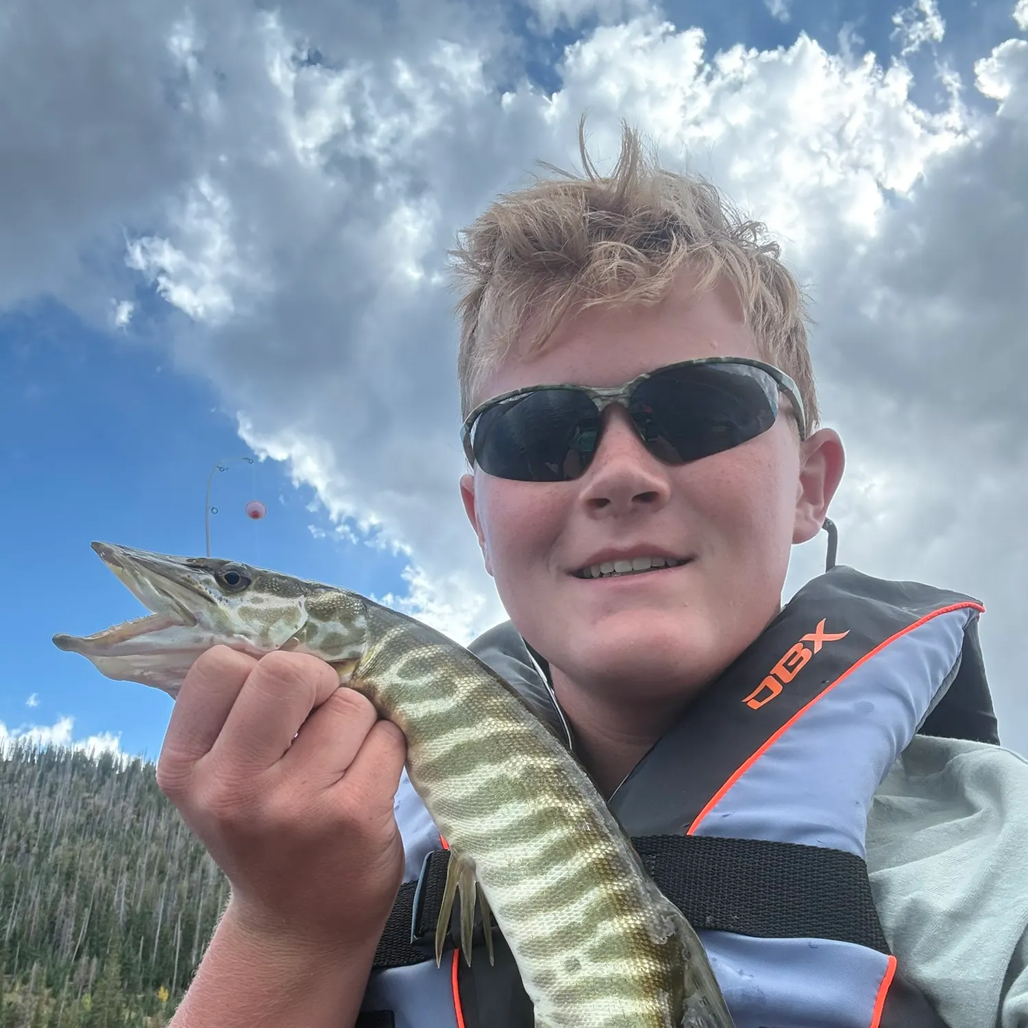 Tiger muskie caught on Fishbrain