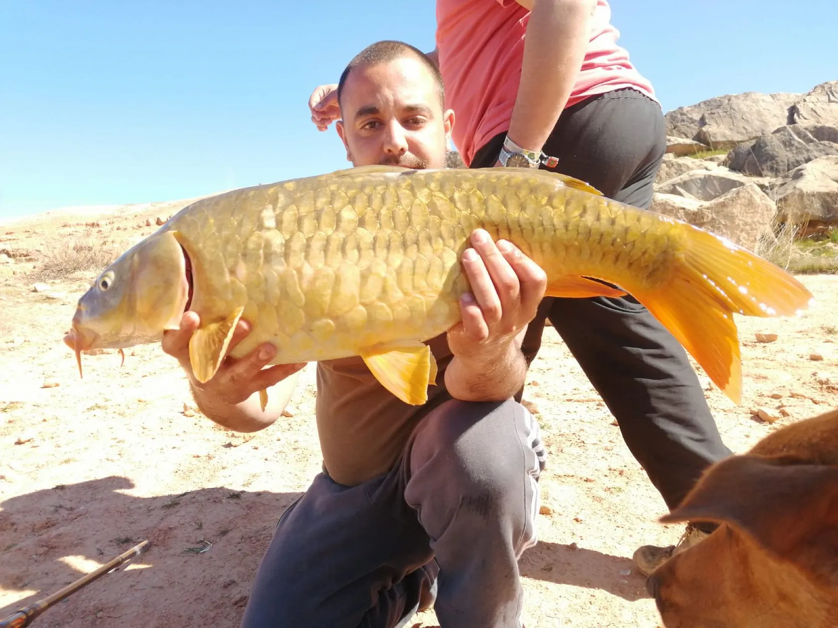 Post image from aperez8411