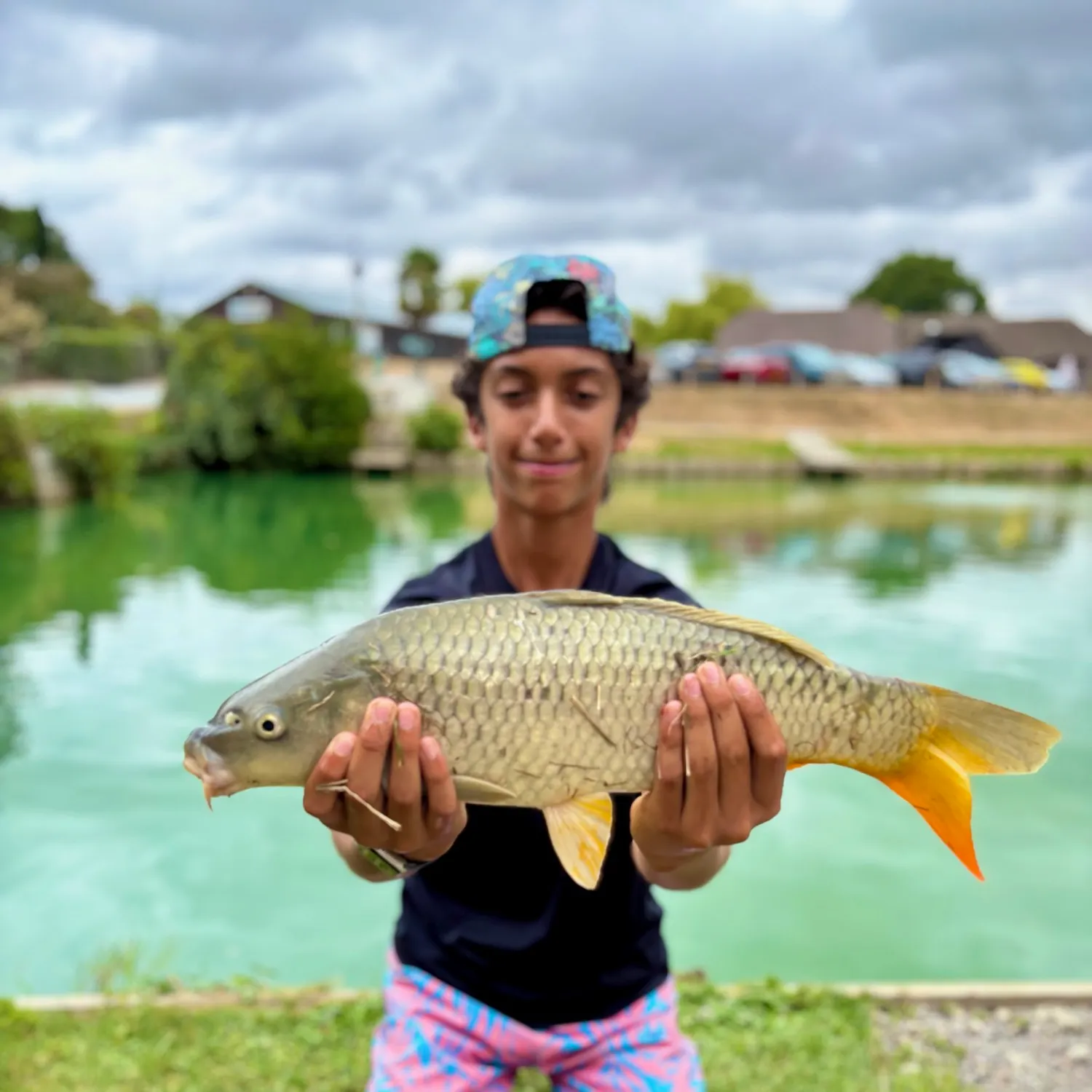 Common carp caught on Fishbrain