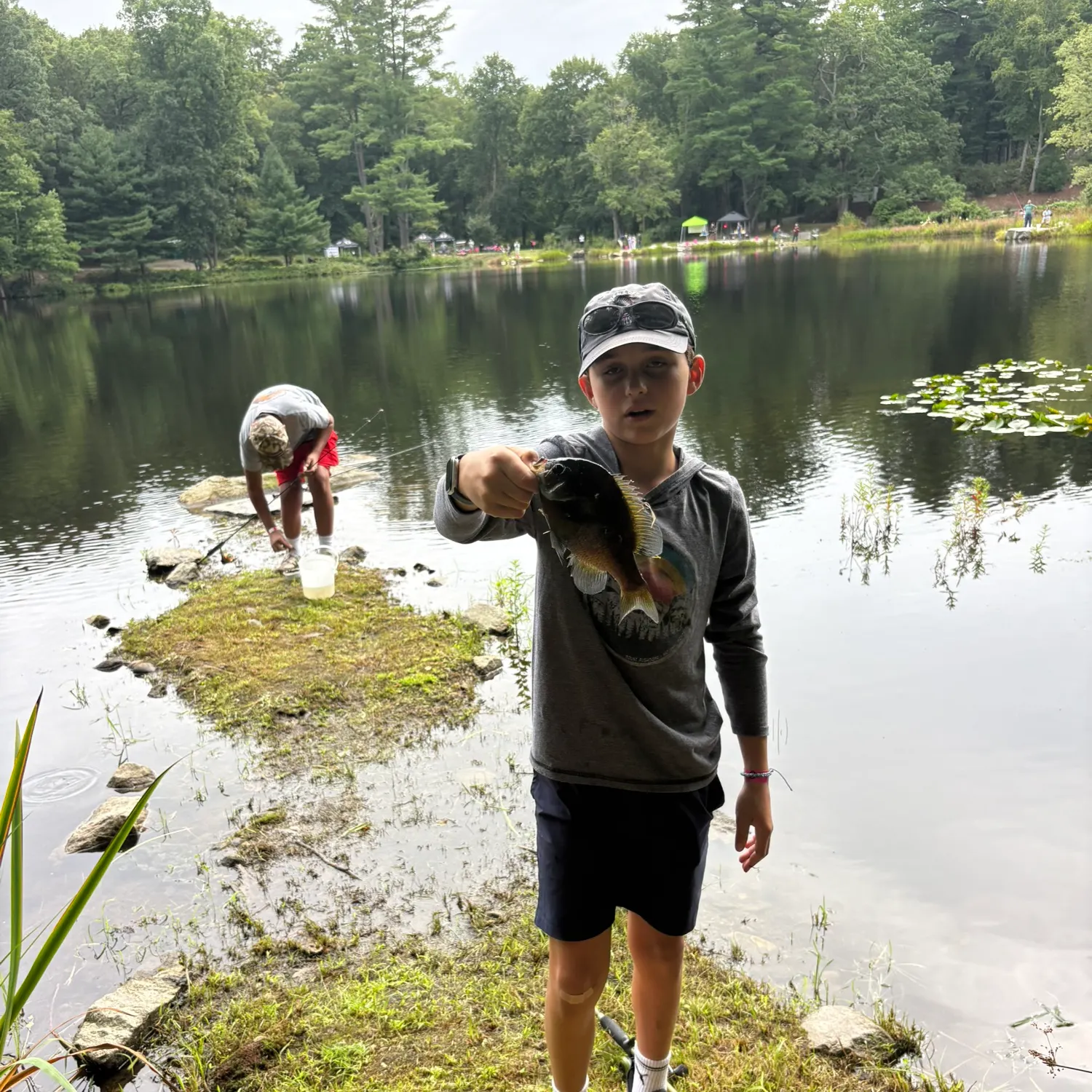 Bluegill caught on Fishbrain