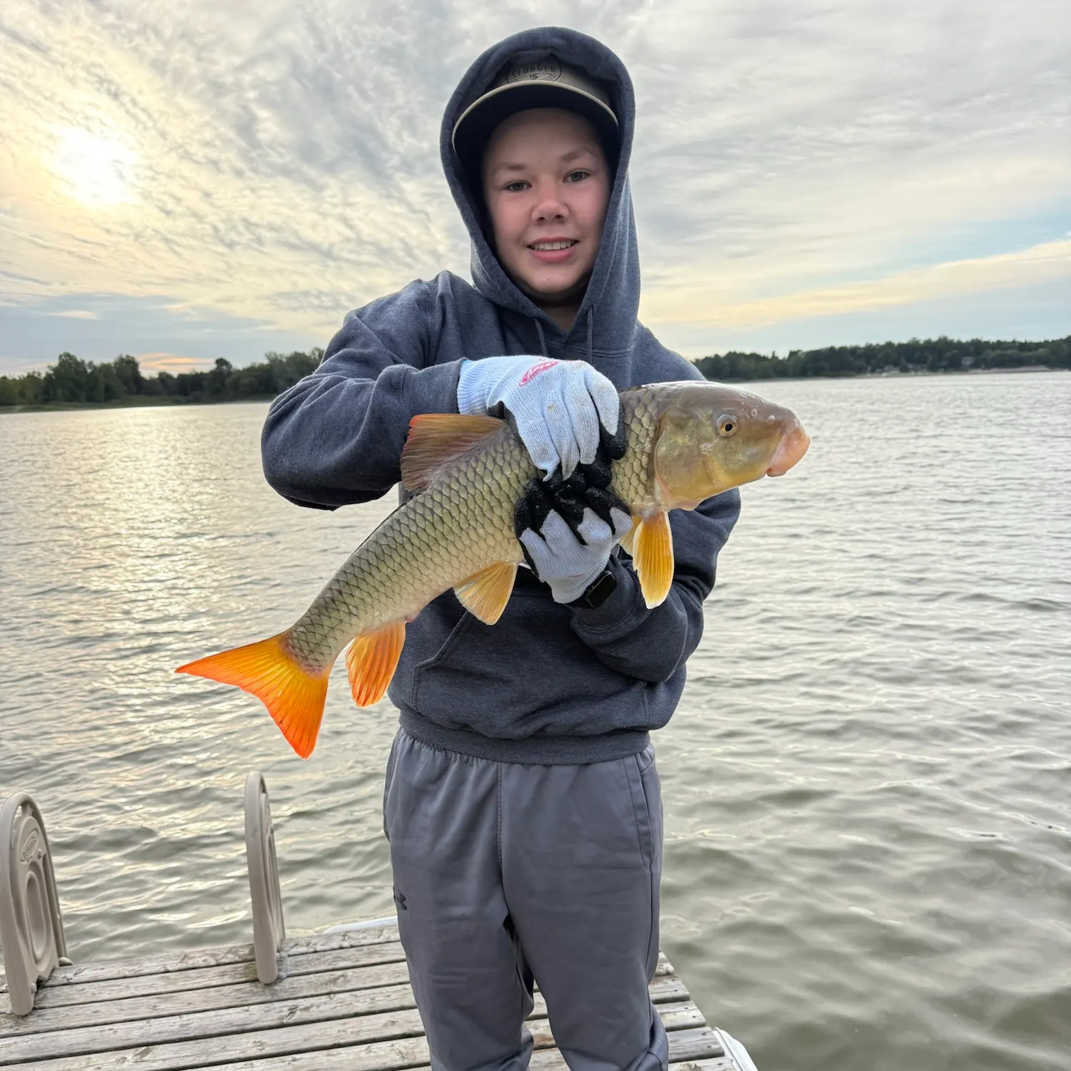 Common carp caught on Fishbrain