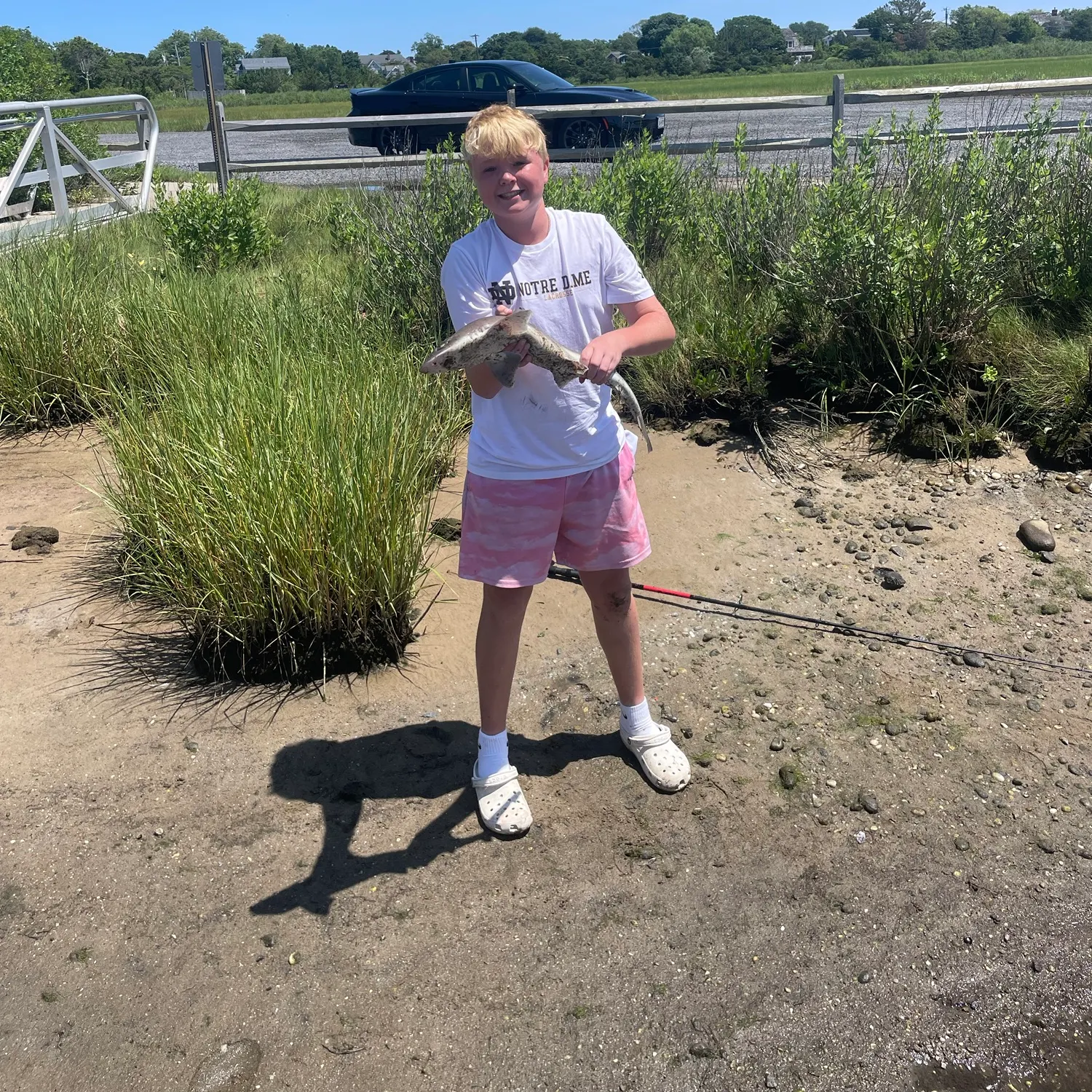 The most recent Piked dogfish catches on Fishbrain