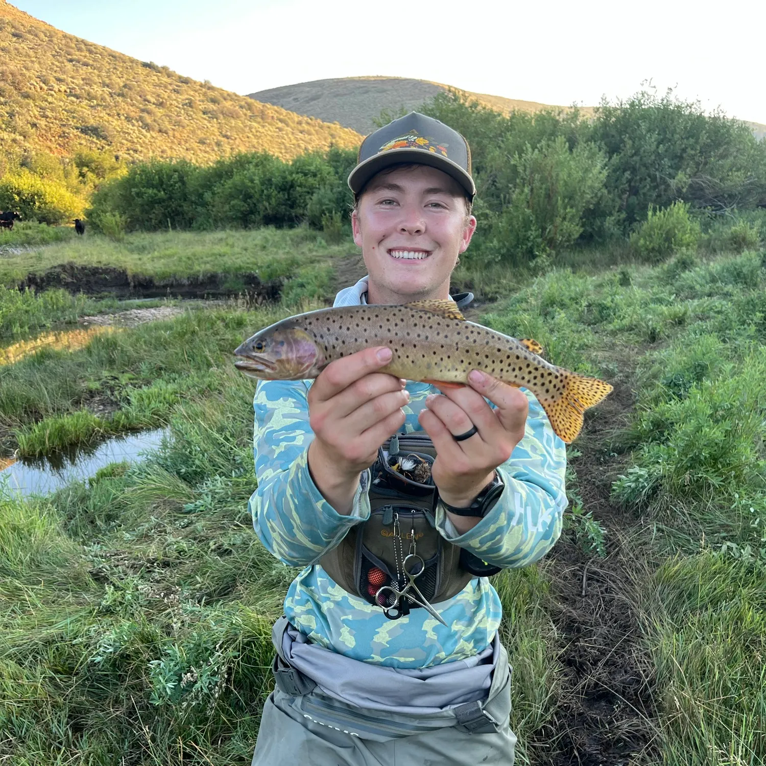 The most recent Bear River cutthroat trout catches on Fishbrain