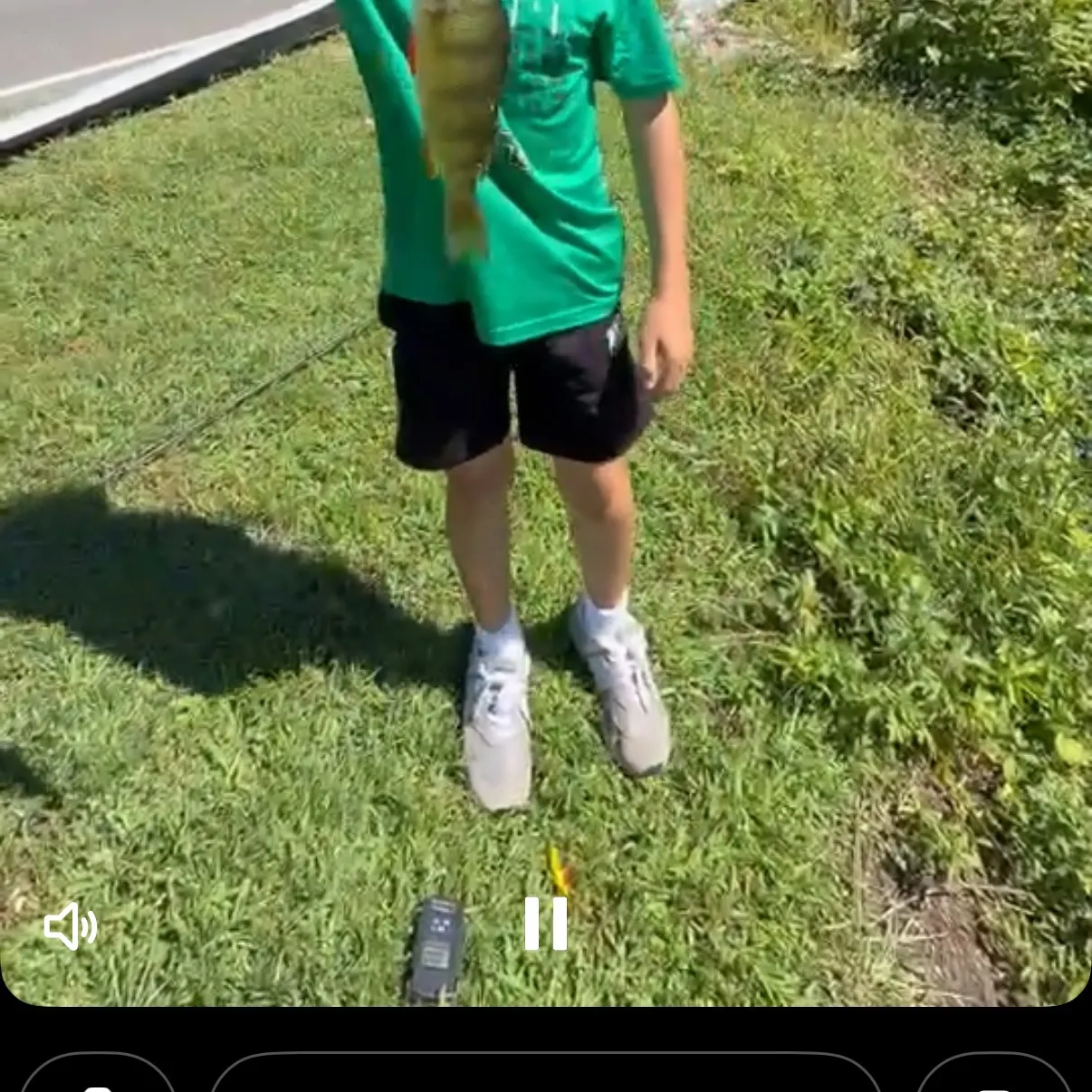 Smallmouth bass caught on Fishbrain