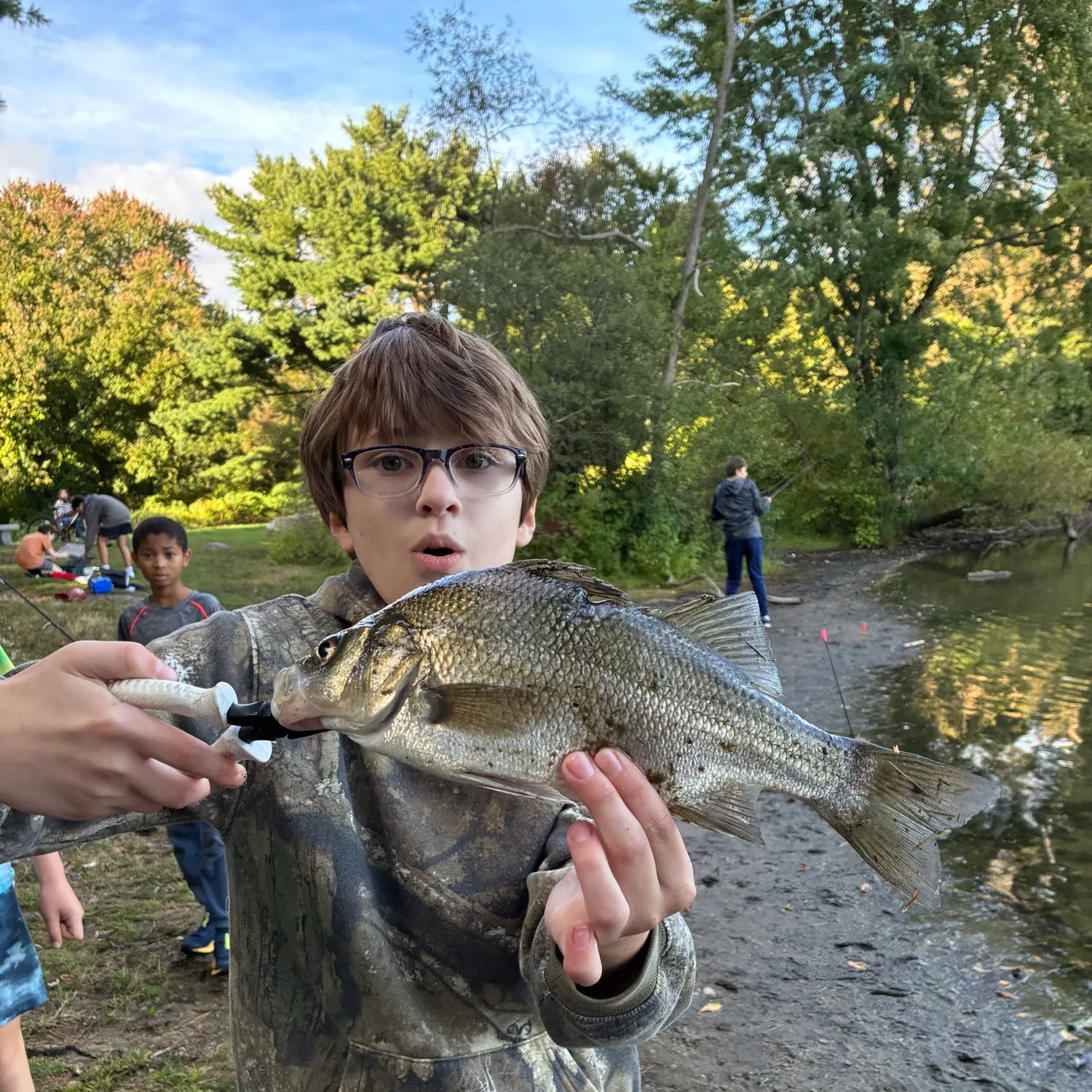 White perch caught on Fishbrain