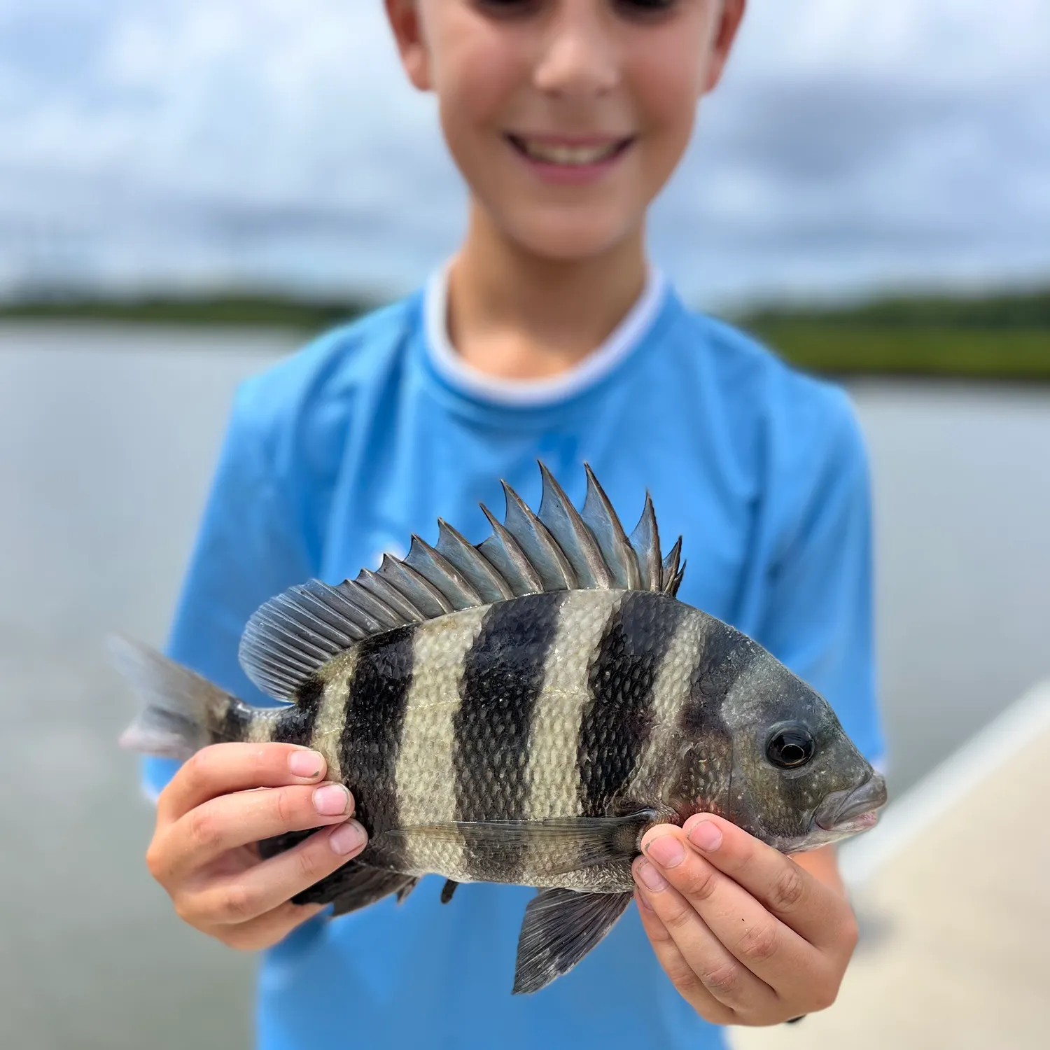 Sheepshead caught on Fishbrain