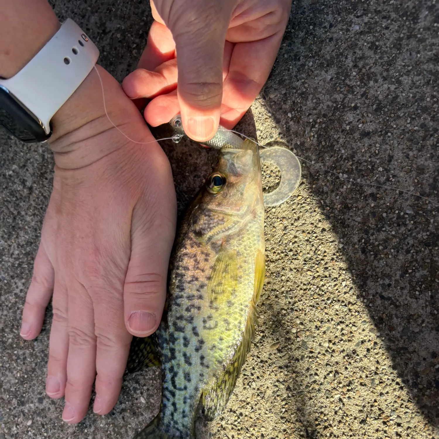 catch