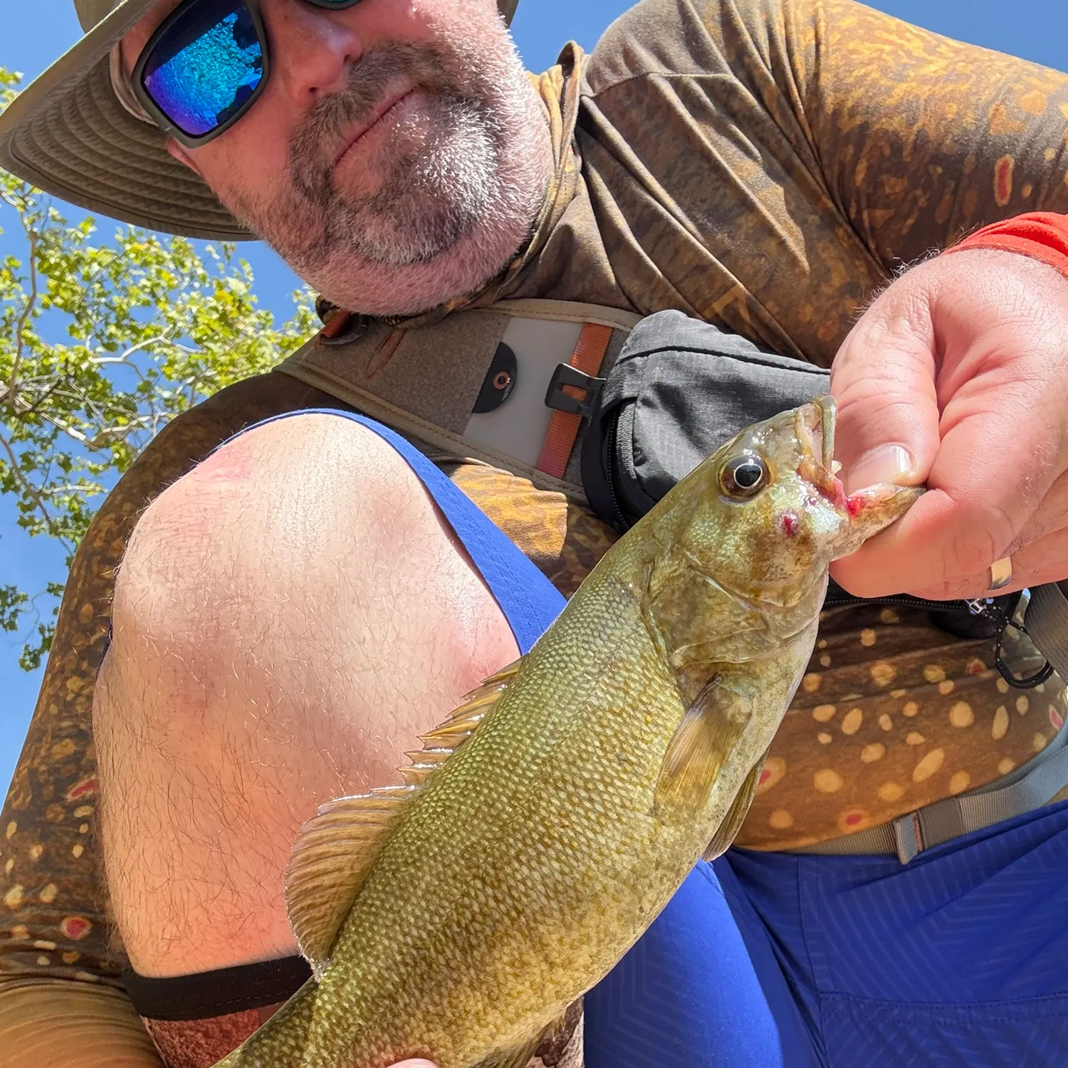 Smallmouth bass caught on Fishbrain