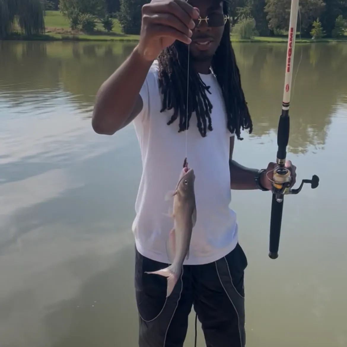 Channel catfish caught on Fishbrain