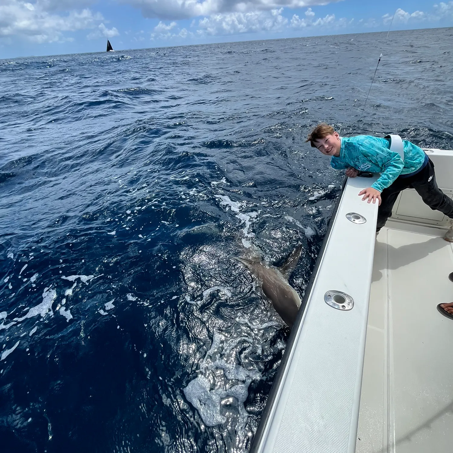 The most recent Silvertip shark catches on Fishbrain