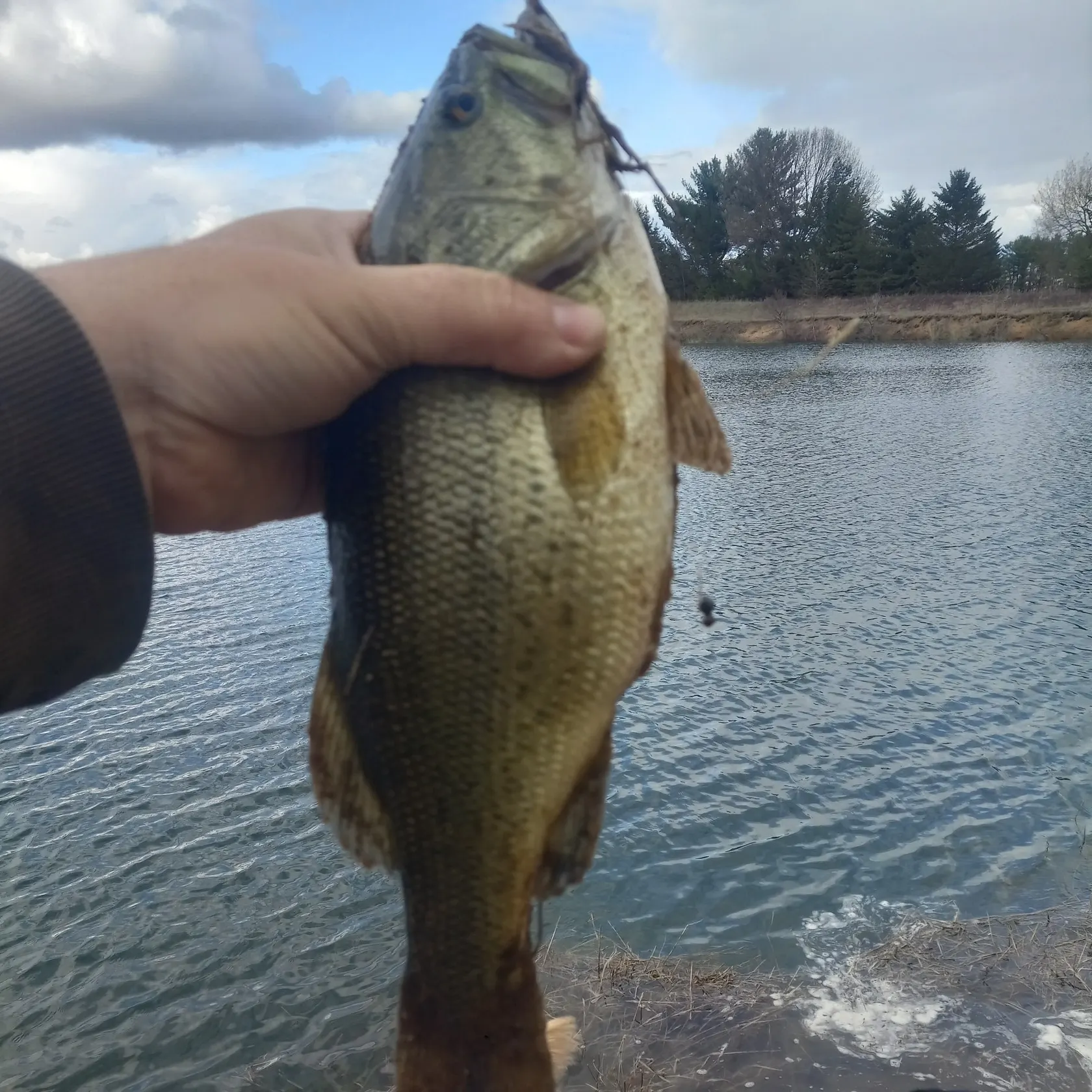 angler catch