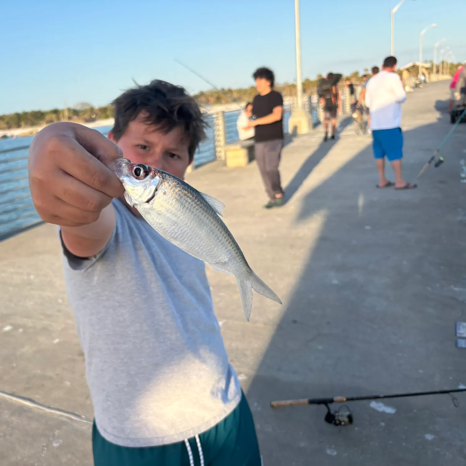 most liked catch image