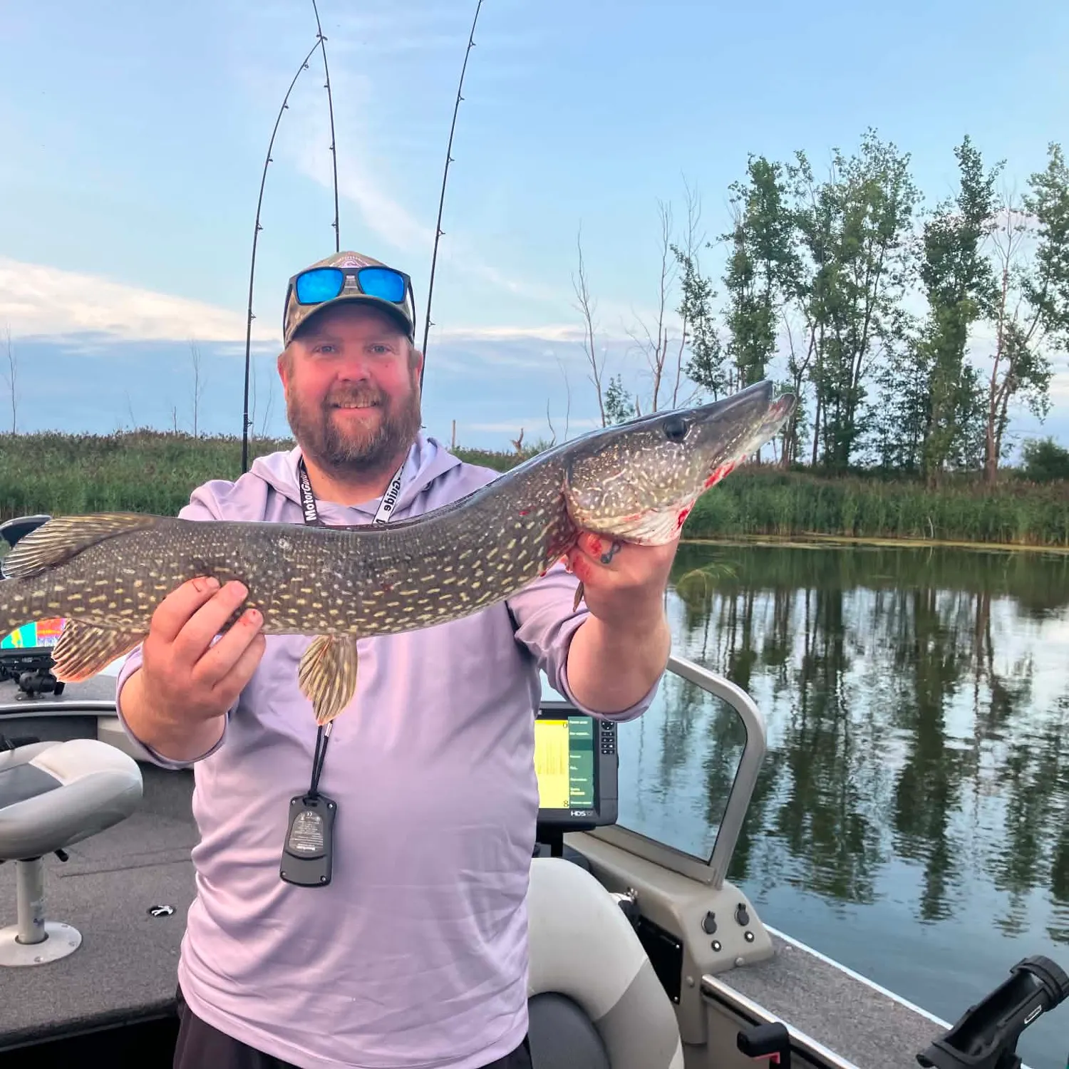 Northern pike caught on Fishbrain