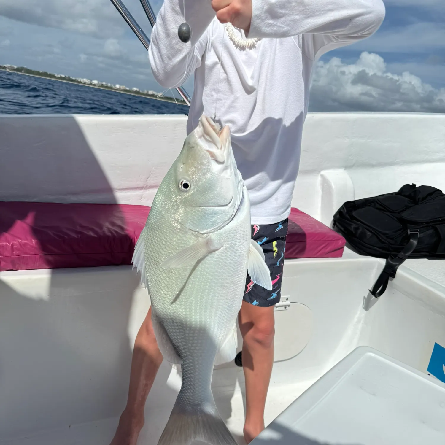 The most recent Black and white snapper catches on Fishbrain