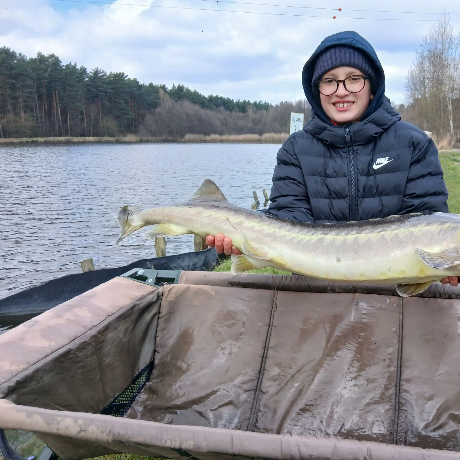 The most recent Beluga sturgeon catches on Fishbrain