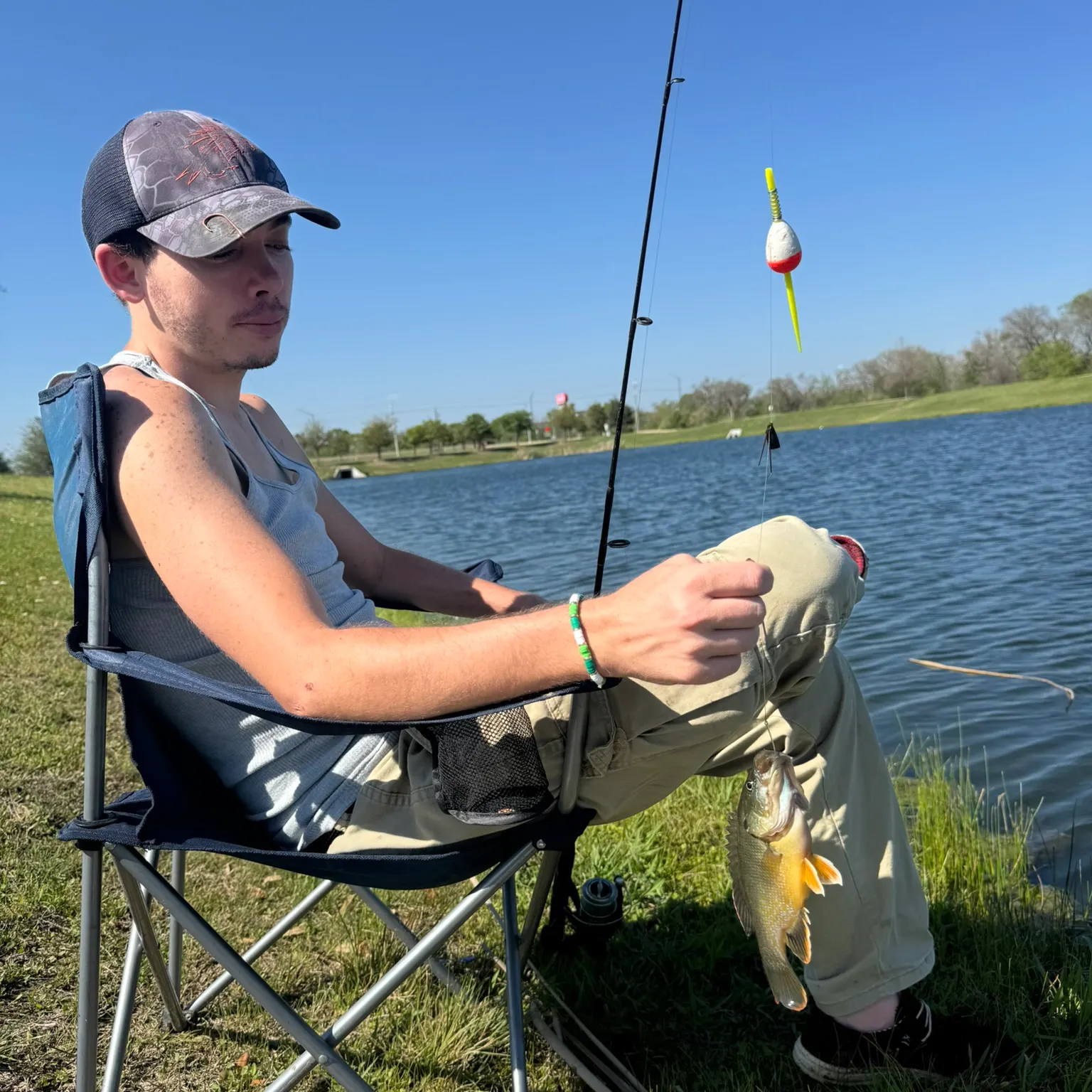 The most recent Green sunfish catches on Fishbrain