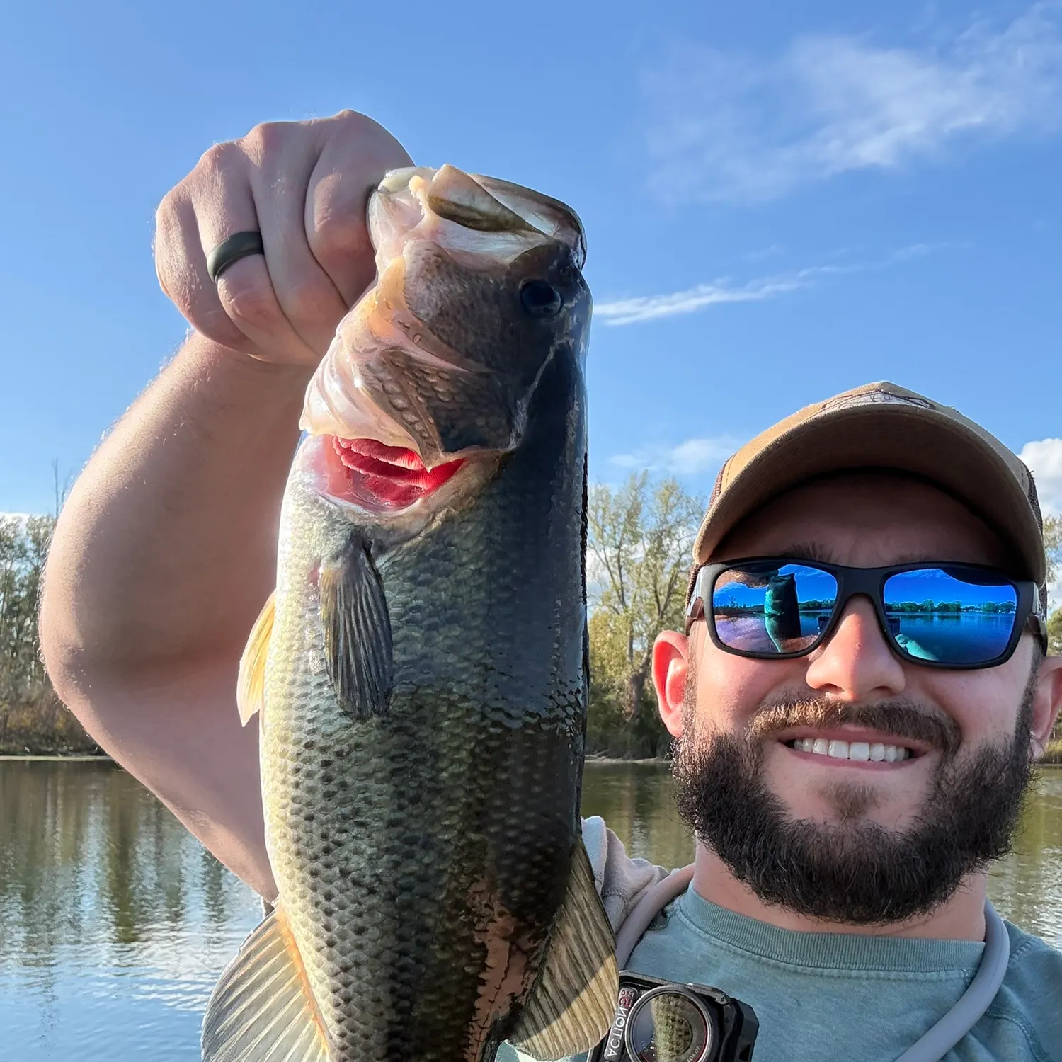 Largemouth bass caught on Fishbrain