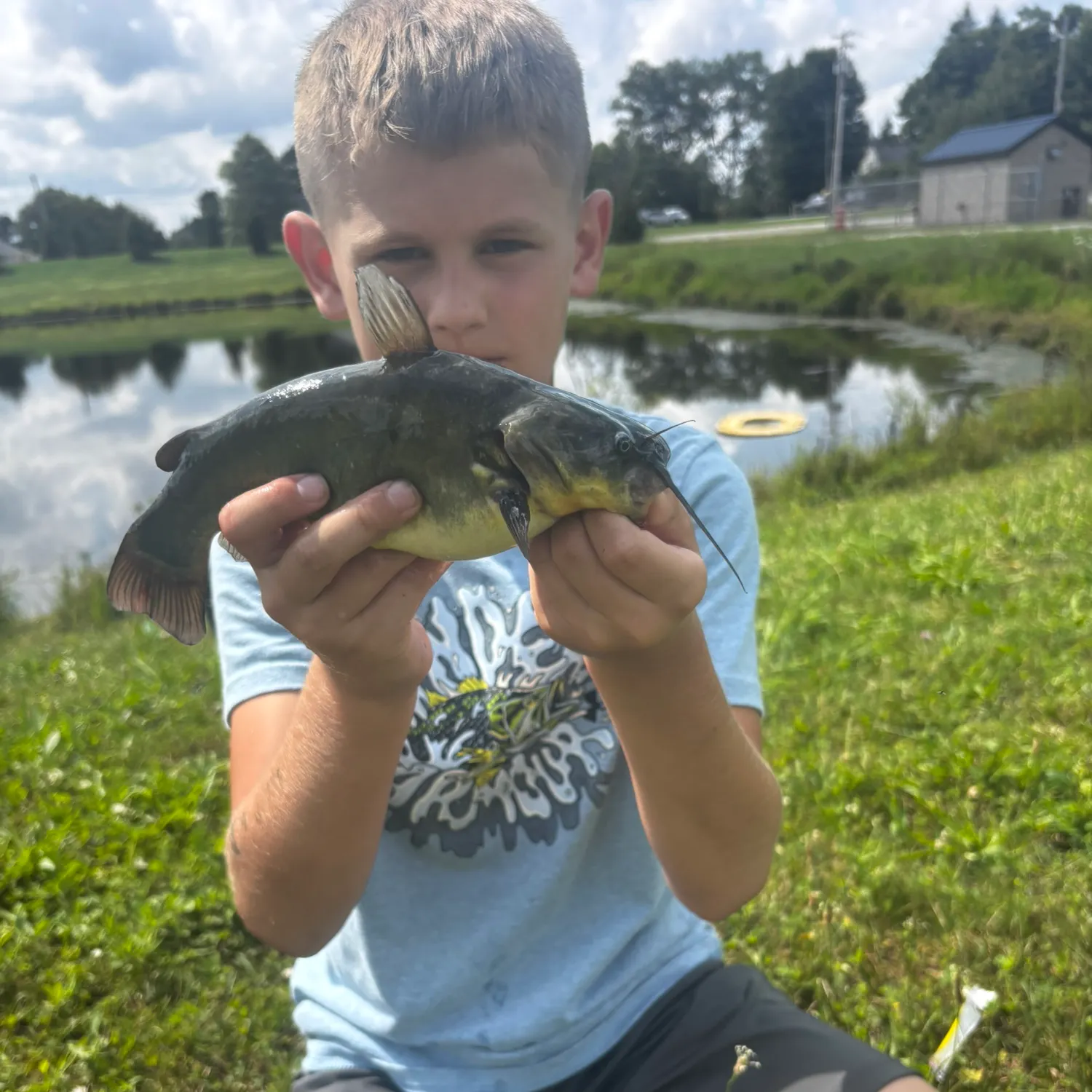 Yellow bullhead caught on Fishbrain