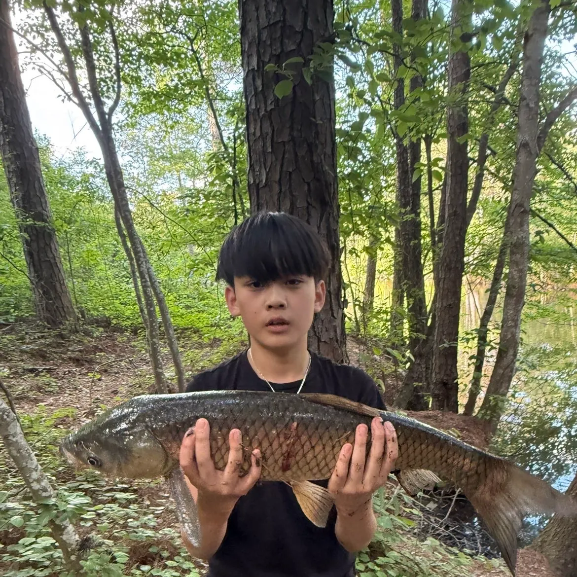 The most recent Grass carp catches on Fishbrain