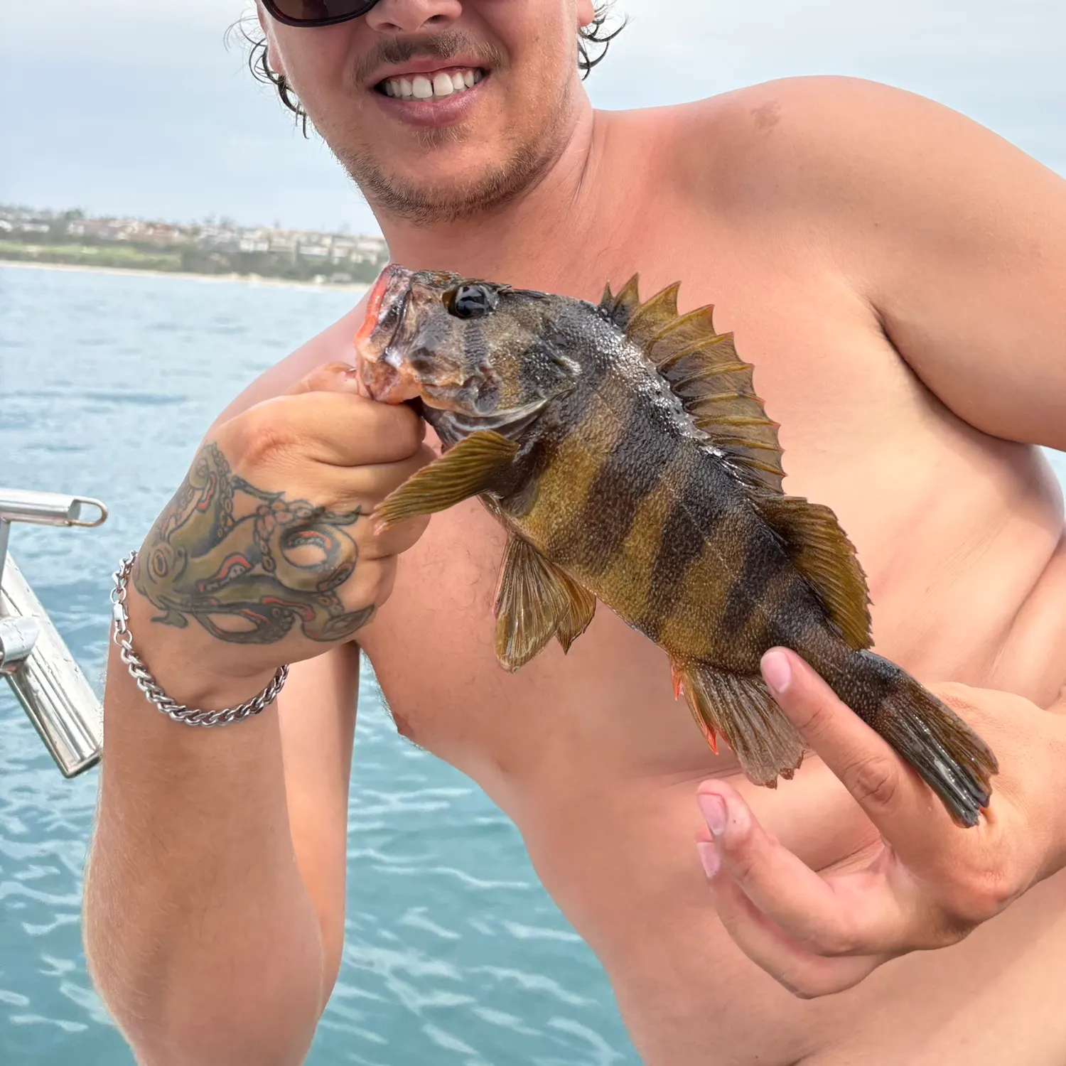 The most recent Treefish catches on Fishbrain
