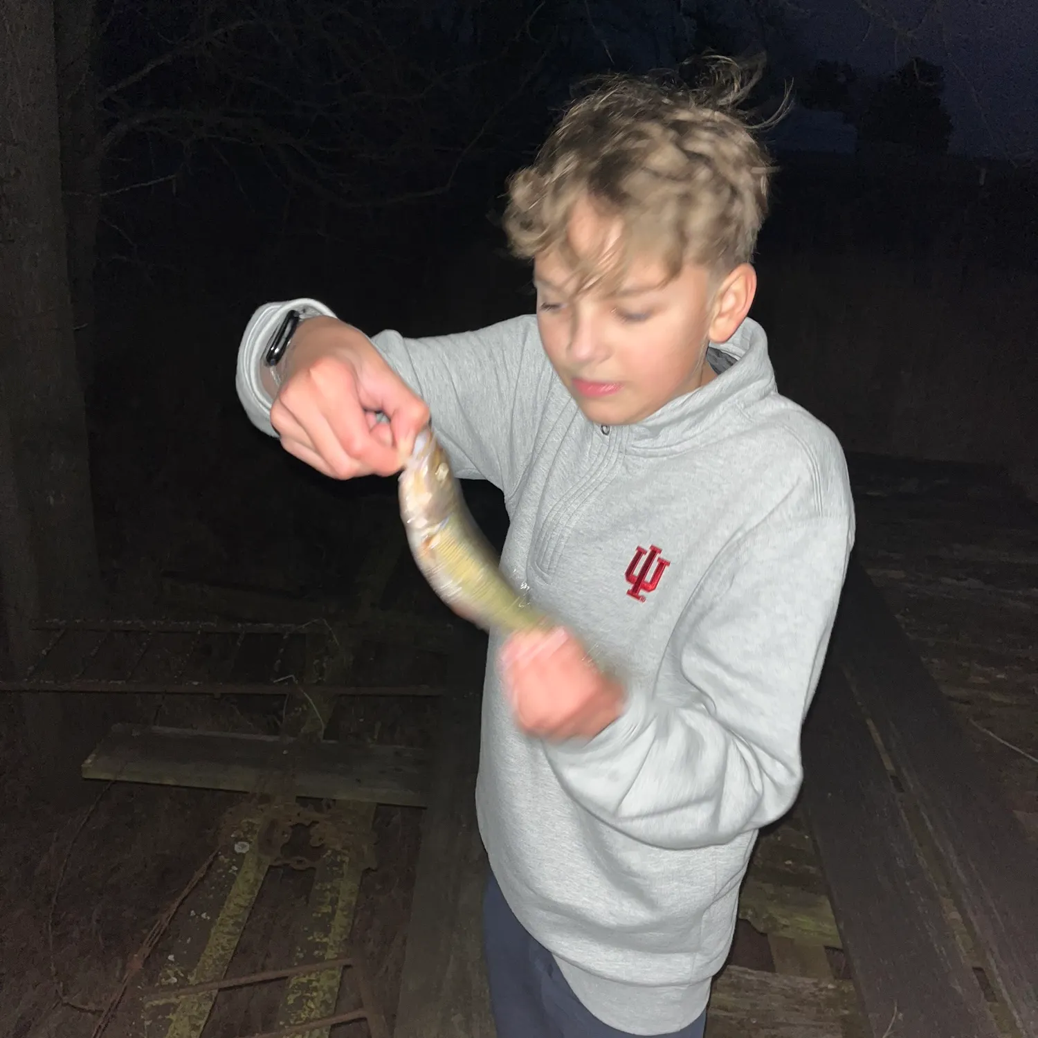 The most recent Creek chub catches on Fishbrain