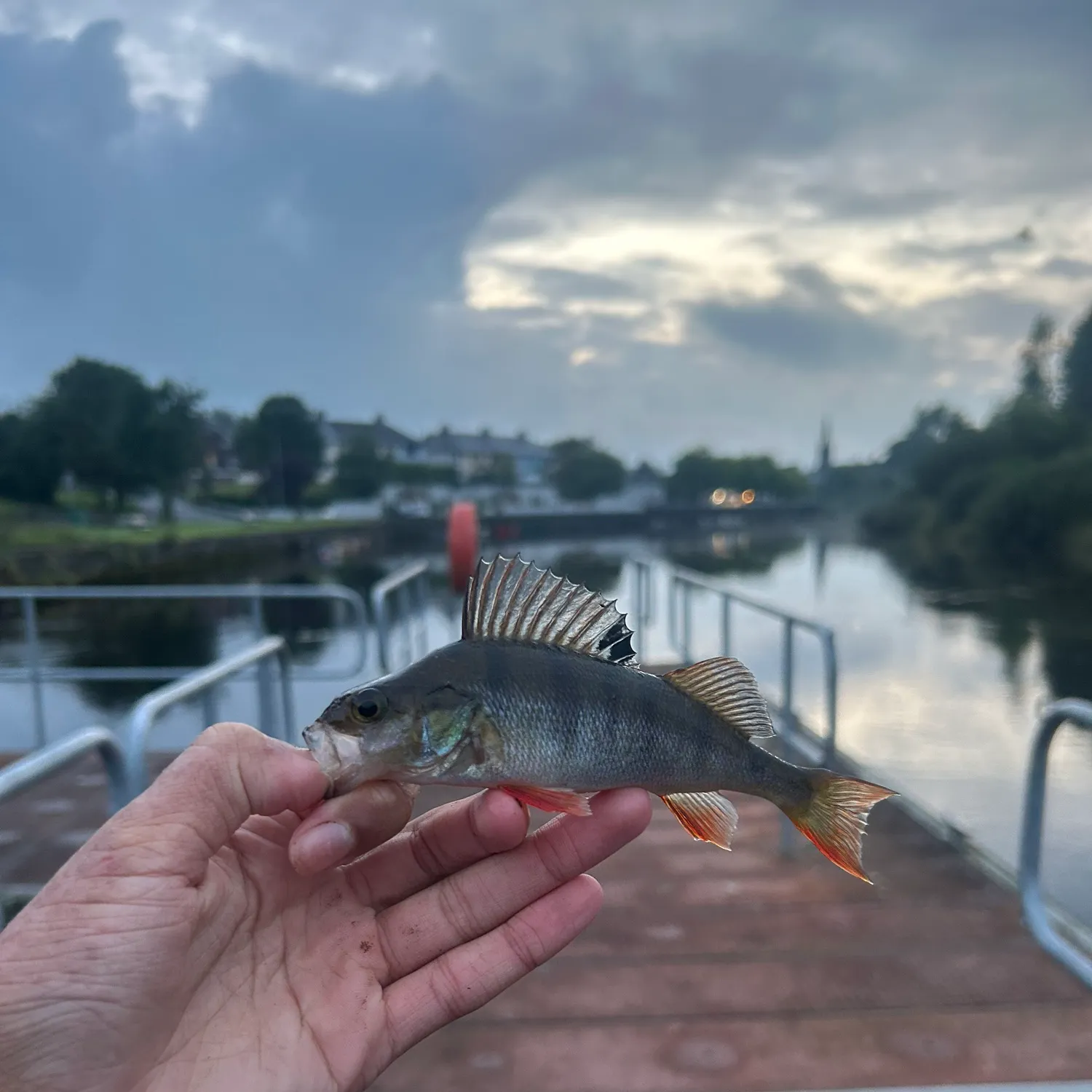 catch