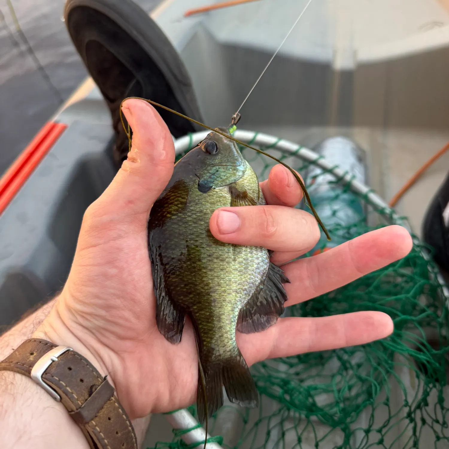 catch