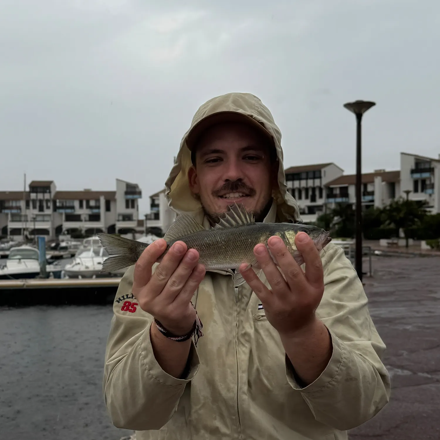 European seabass caught on Fishbrain