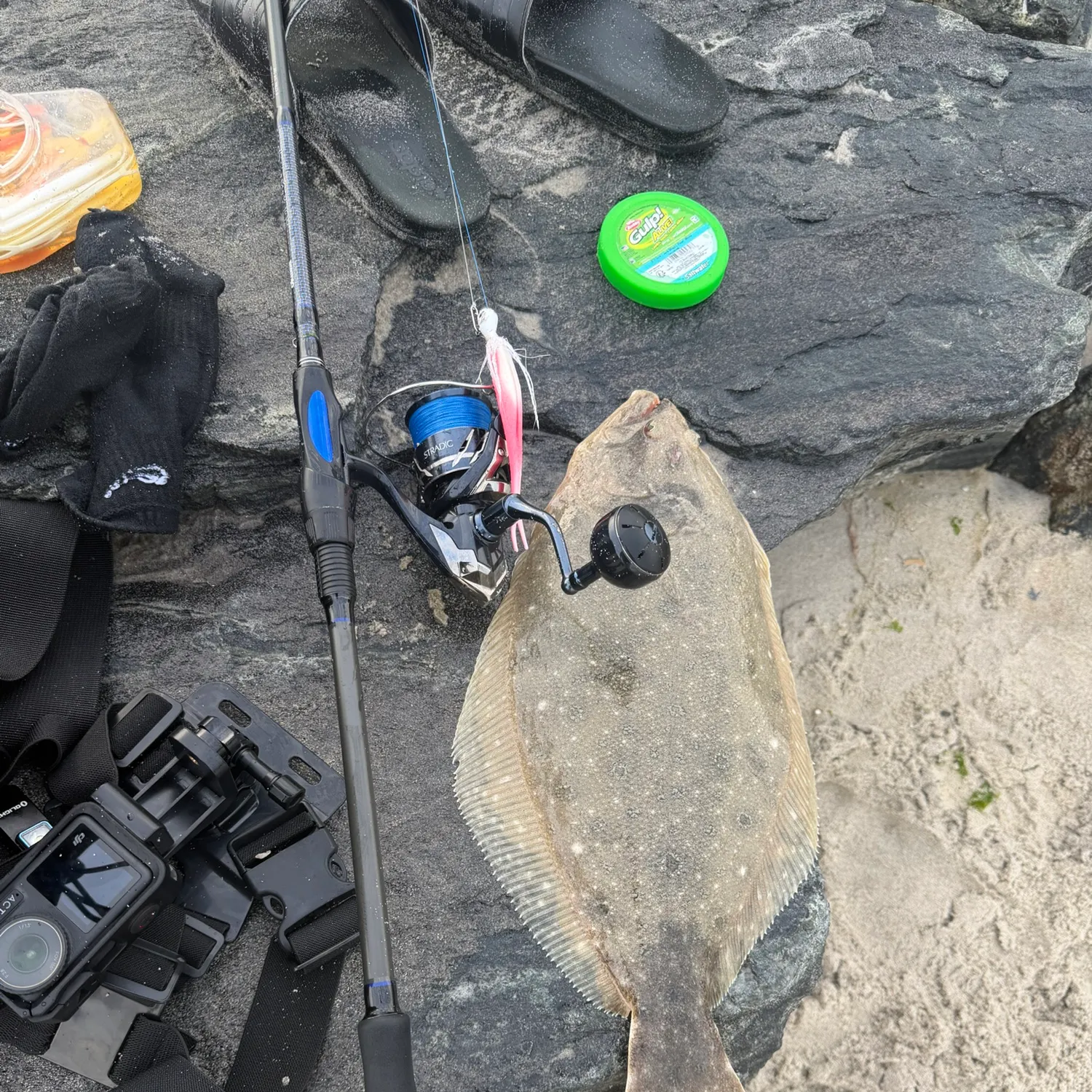 Summer flounder caught on Fishbrain