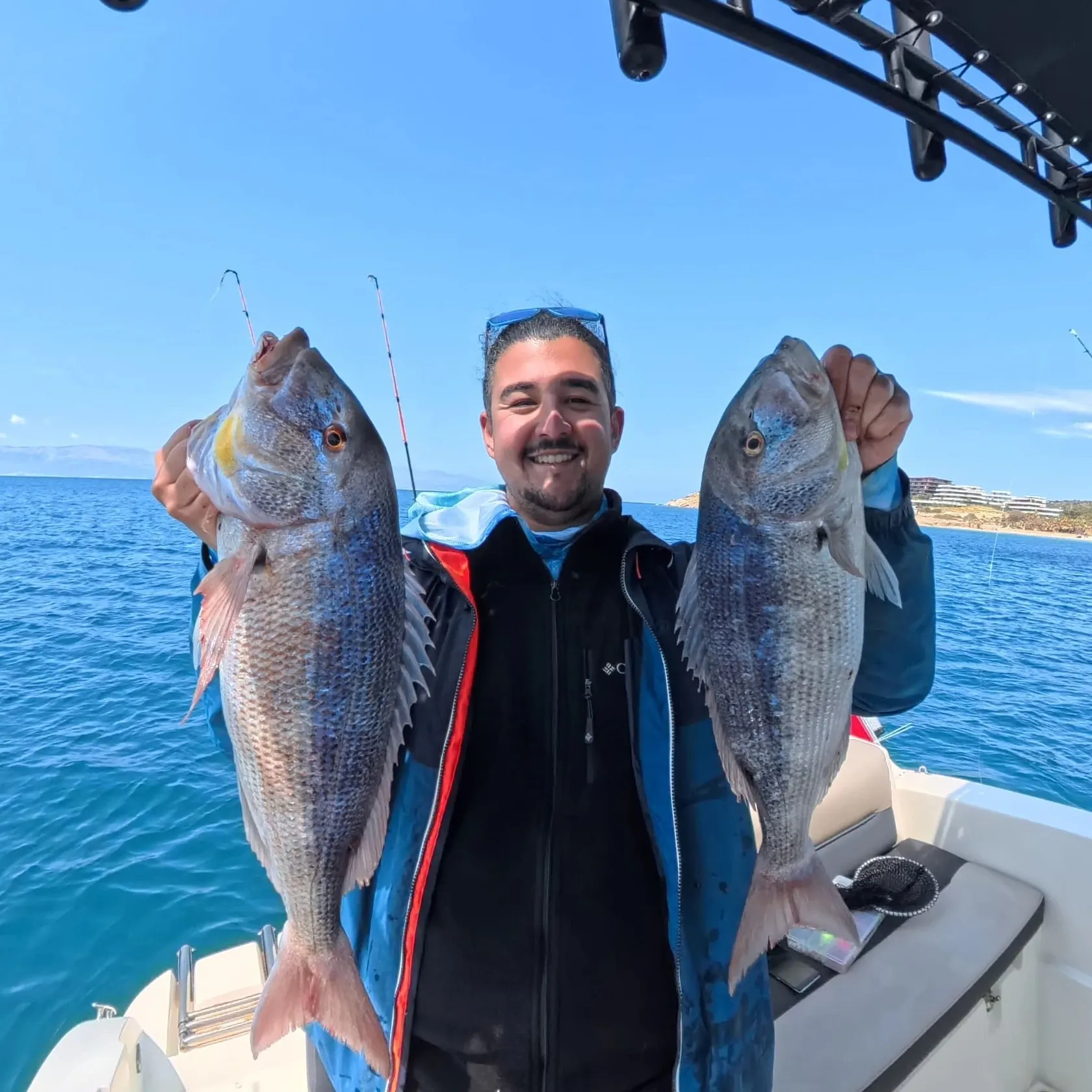 The most recent Common dentex catches on Fishbrain