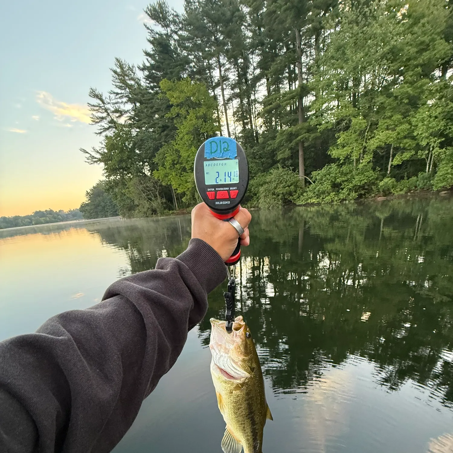 Largemouth bass caught on Fishbrain