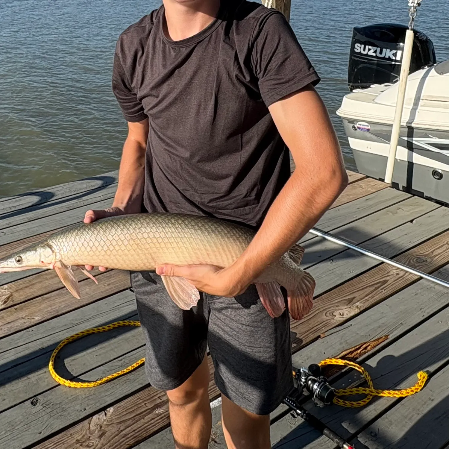 Alligator gar caught on Fishbrain