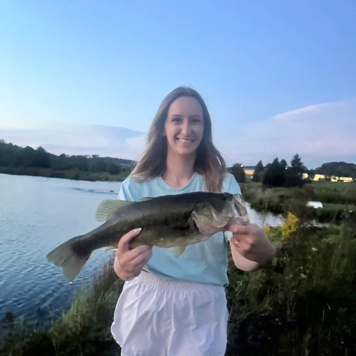 Largemouth bass caught on Fishbrain