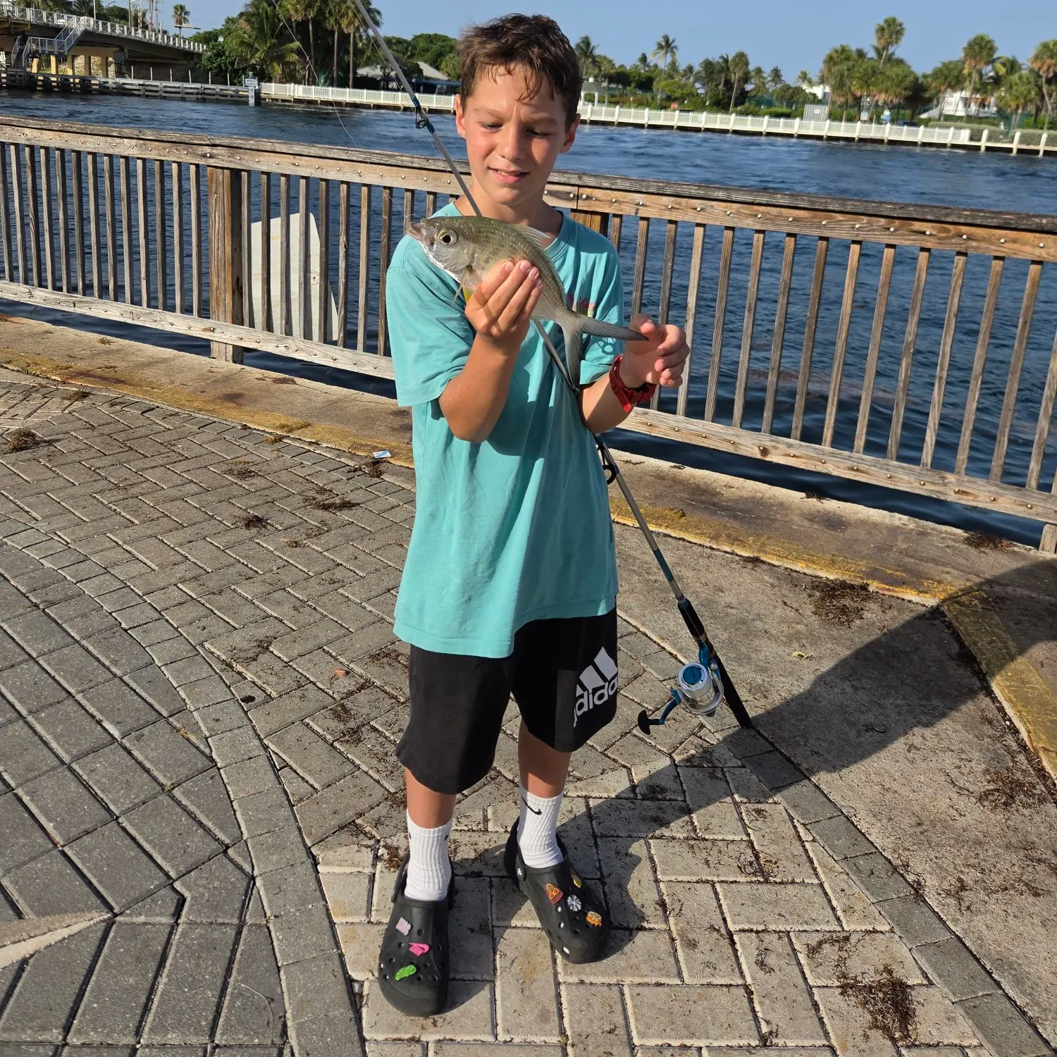 The most recent Sharpnose seaperch catches on Fishbrain