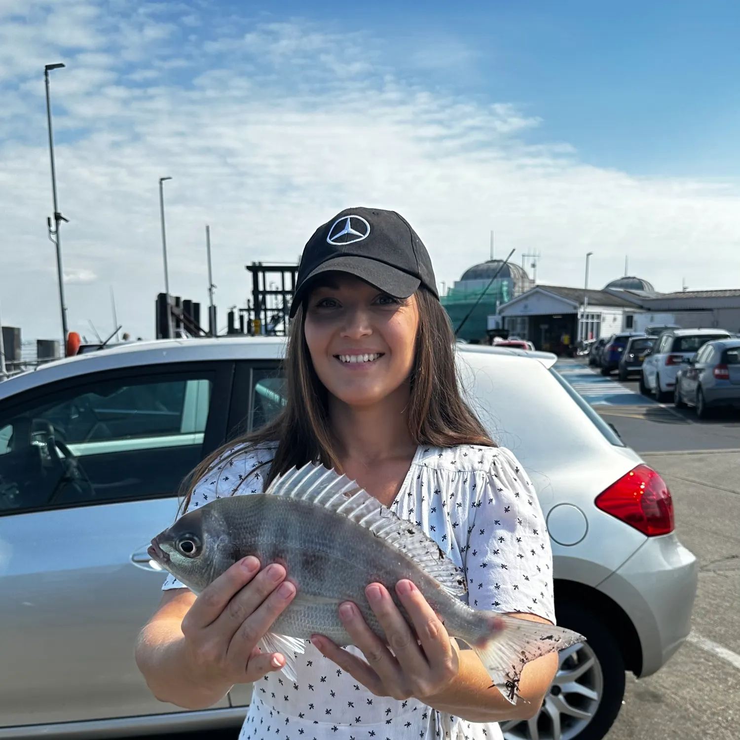 The most recent Black seabream catches on Fishbrain