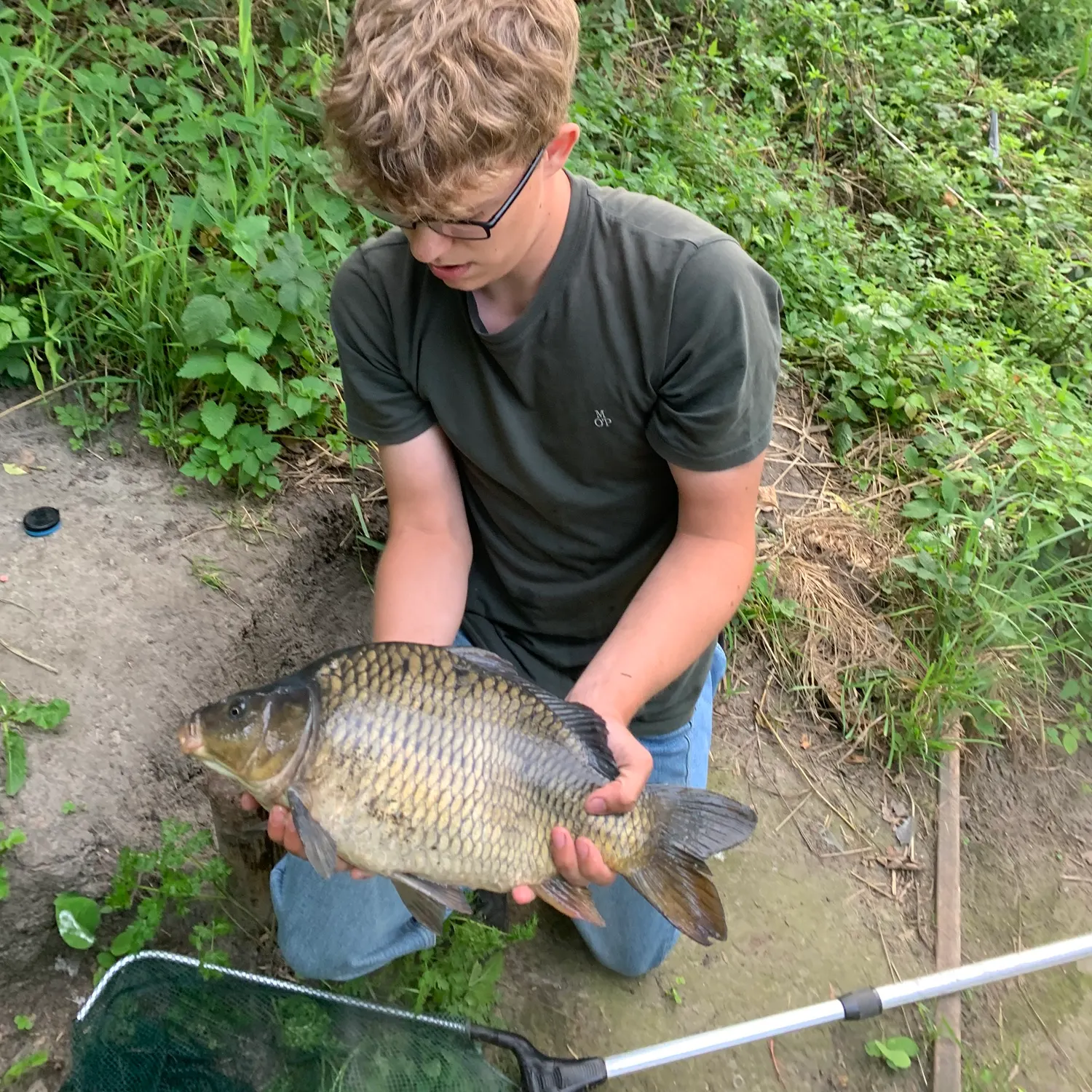 The most recent Common carp catches on Fishbrain