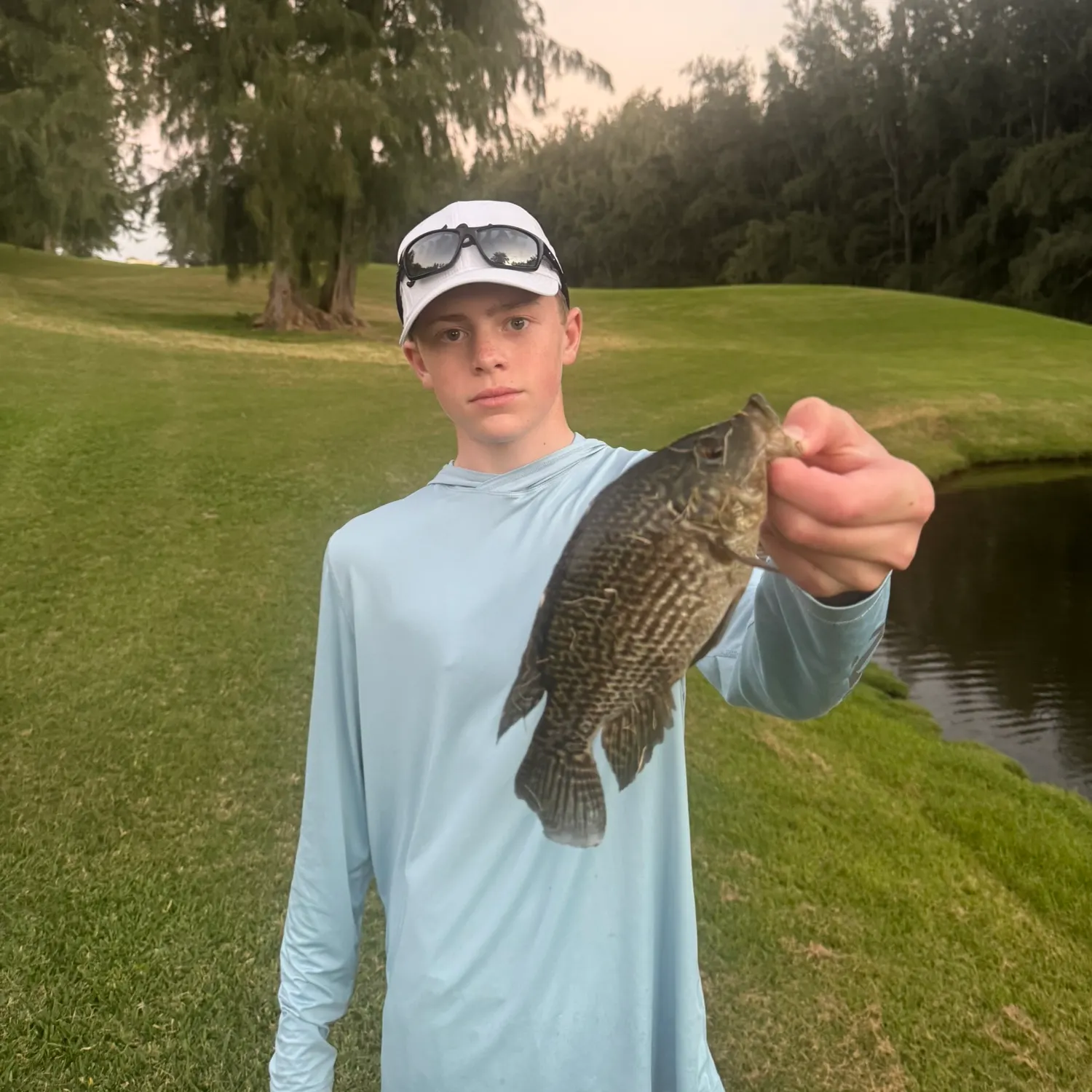 The most recent Flat needlefish catches on Fishbrain