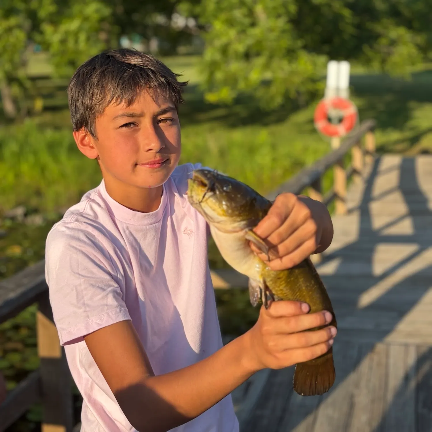Yellow bullhead caught on Fishbrain