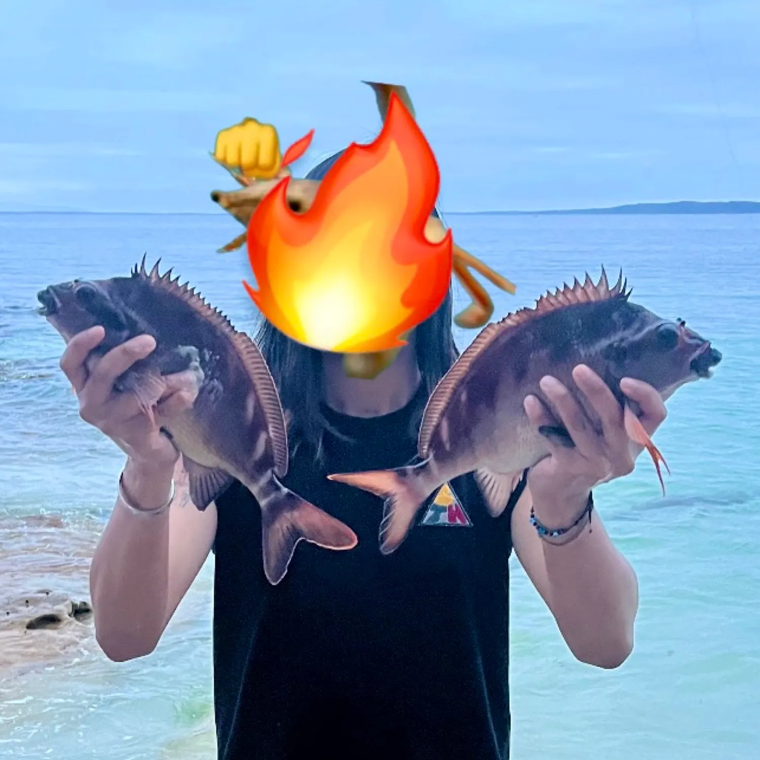 The most recent Red morwong catches on Fishbrain