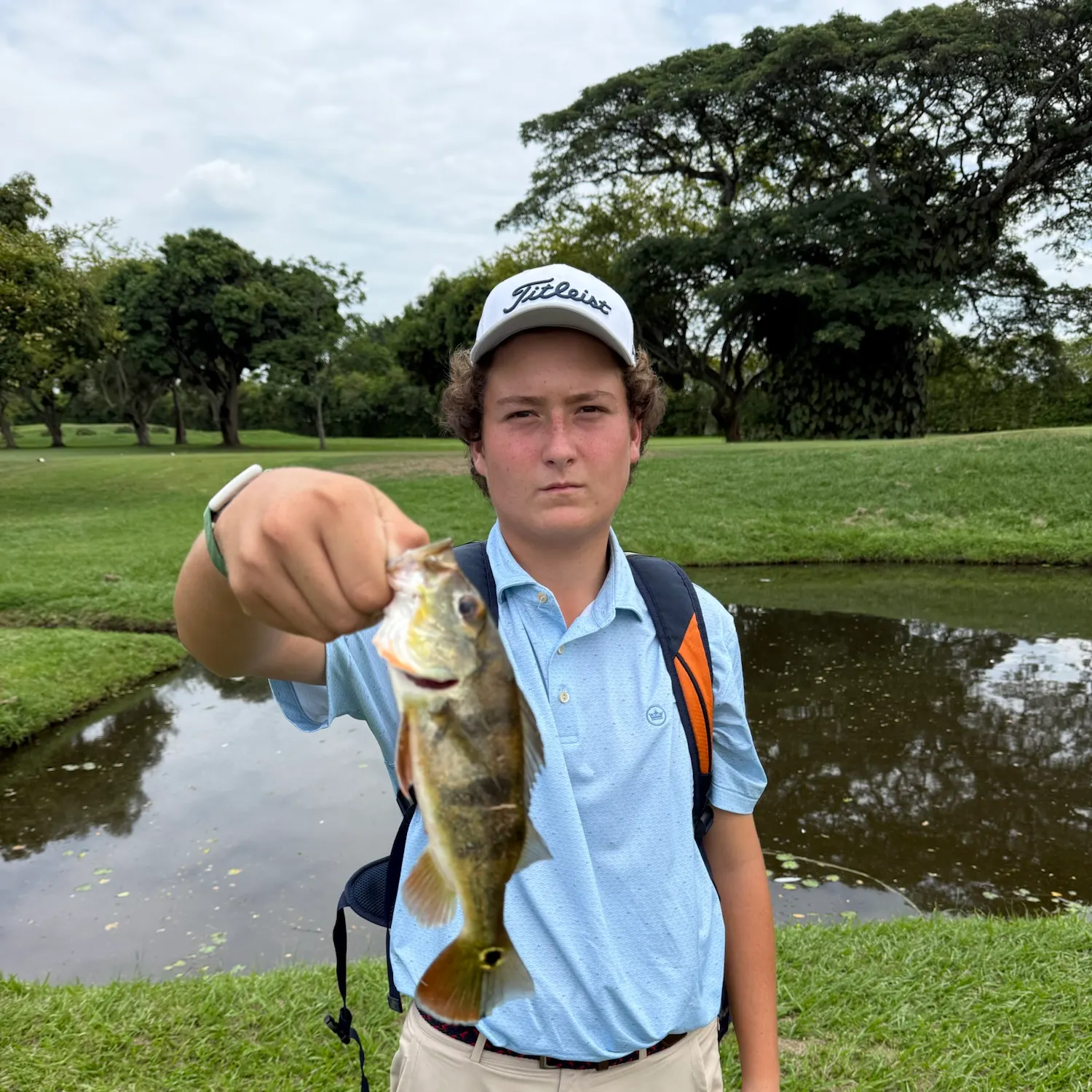 The most recent Speckled peacock bass catches on Fishbrain