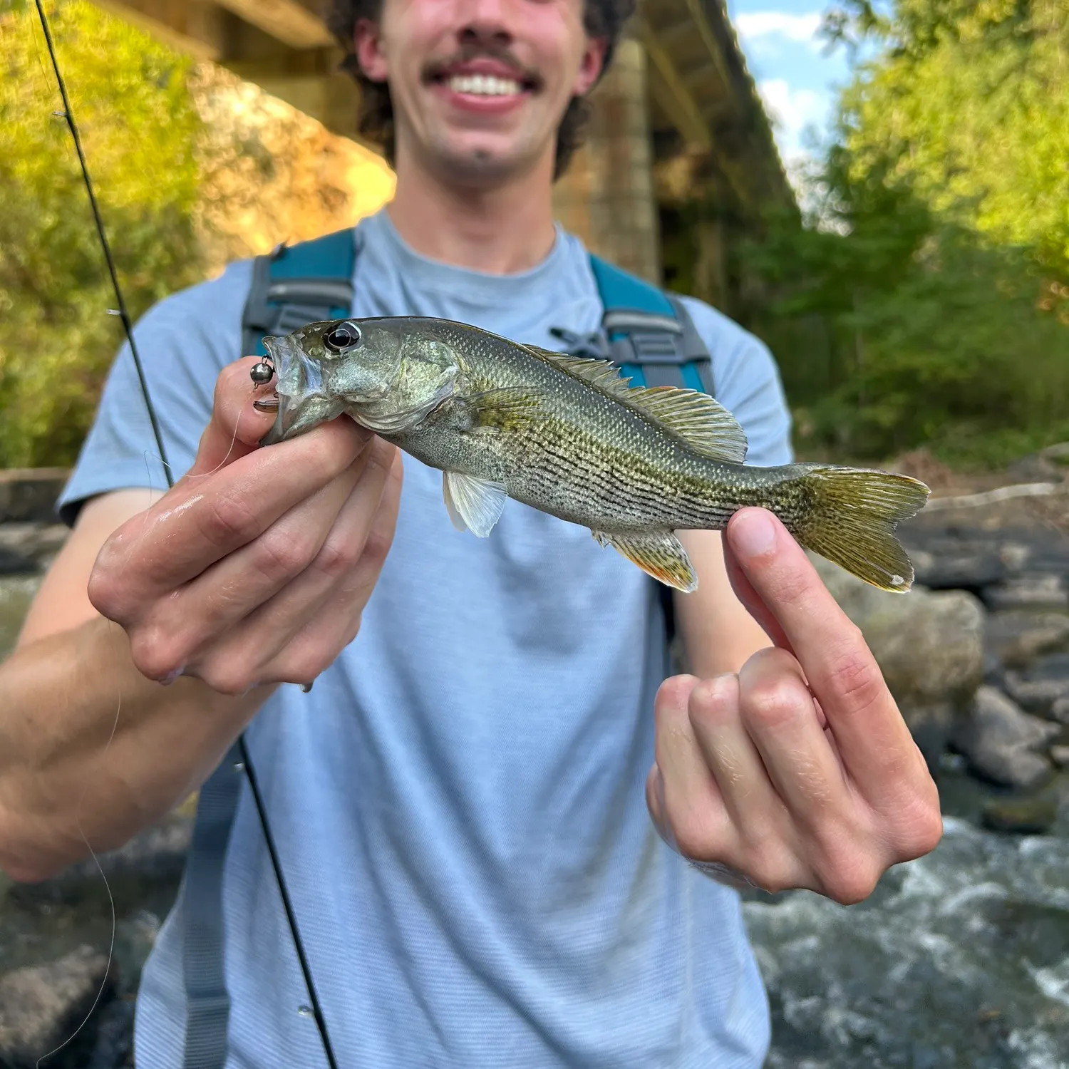 Altamaha bass caught on Fishbrain