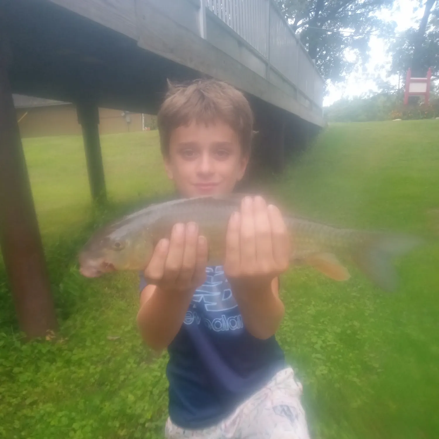 Silver redhorse caught on Fishbrain