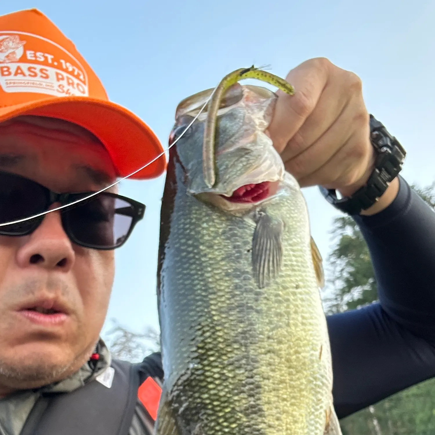 Largemouth bass caught on Fishbrain