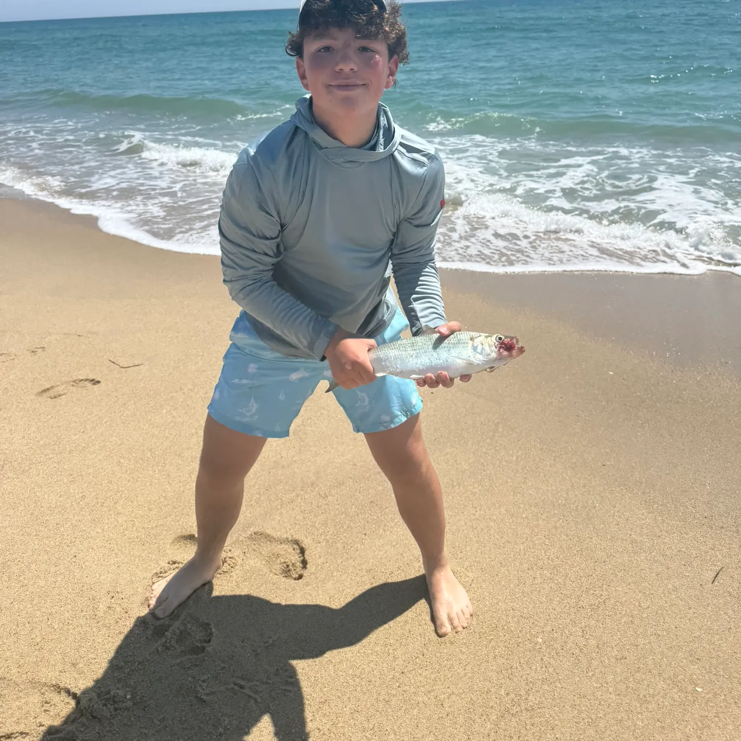 The most recent American shad catches on Fishbrain